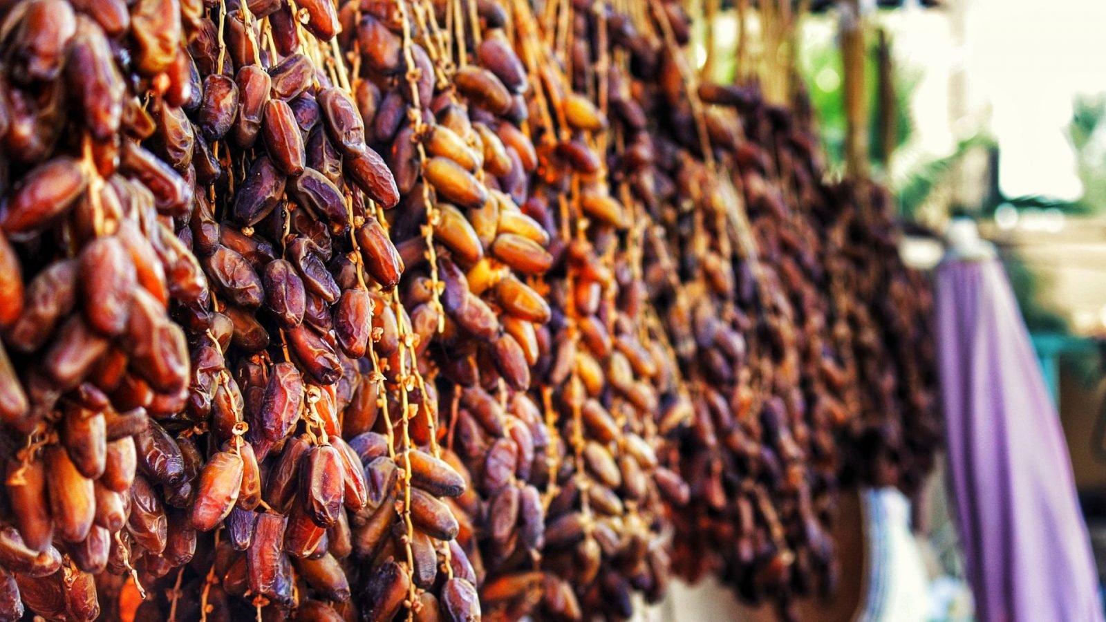 10-powody-dla-ktorych-musisz-odwiedzic-djerbe-galeria-1