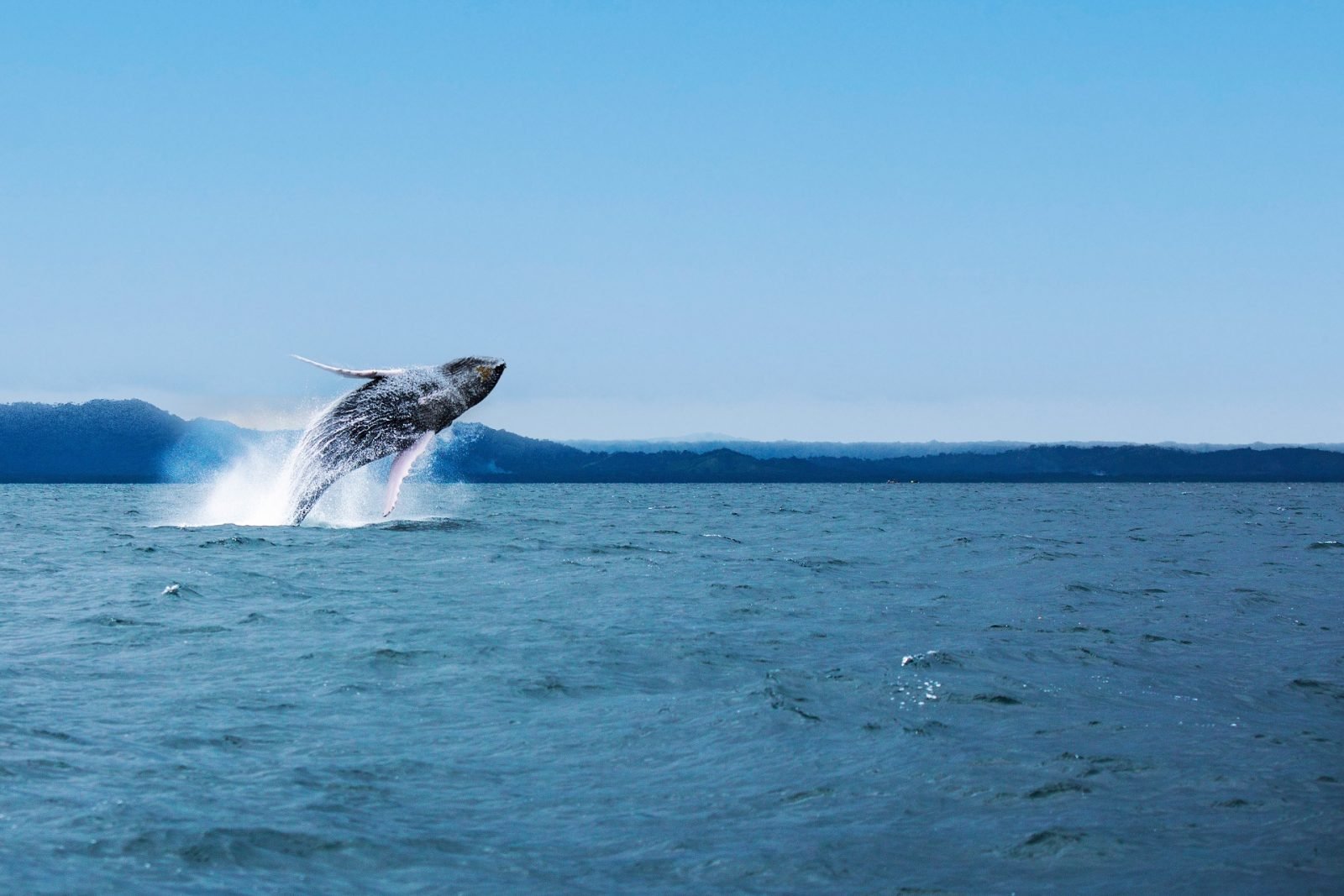 dominikana-co-warto-zobaczyc