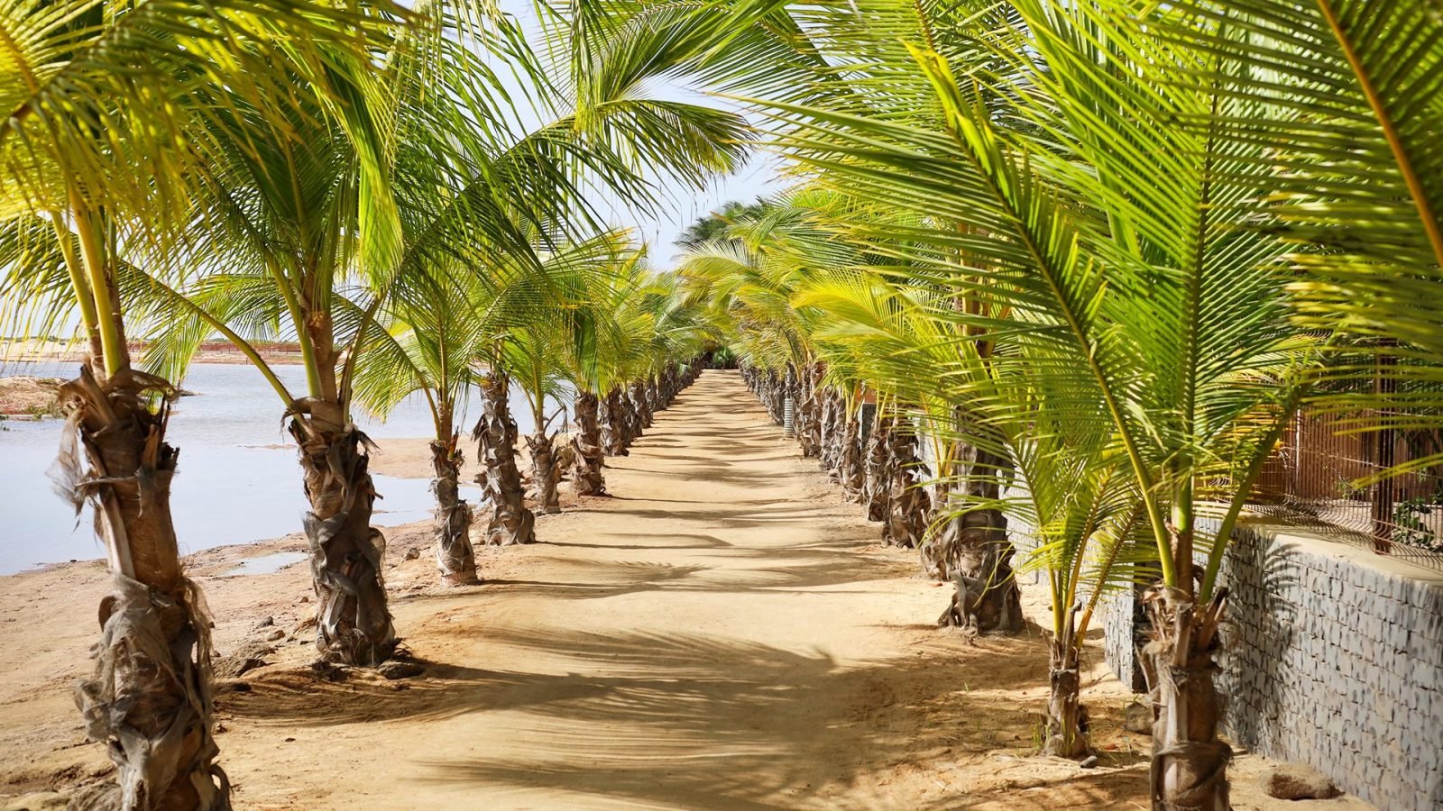 wyspy-zielonego-przyladka-kiedy-jechac-na-urlop-galeria-1