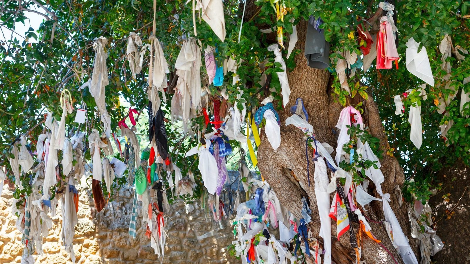 pafos-najlepsze-atrakcje-turystyczne-galeria-2