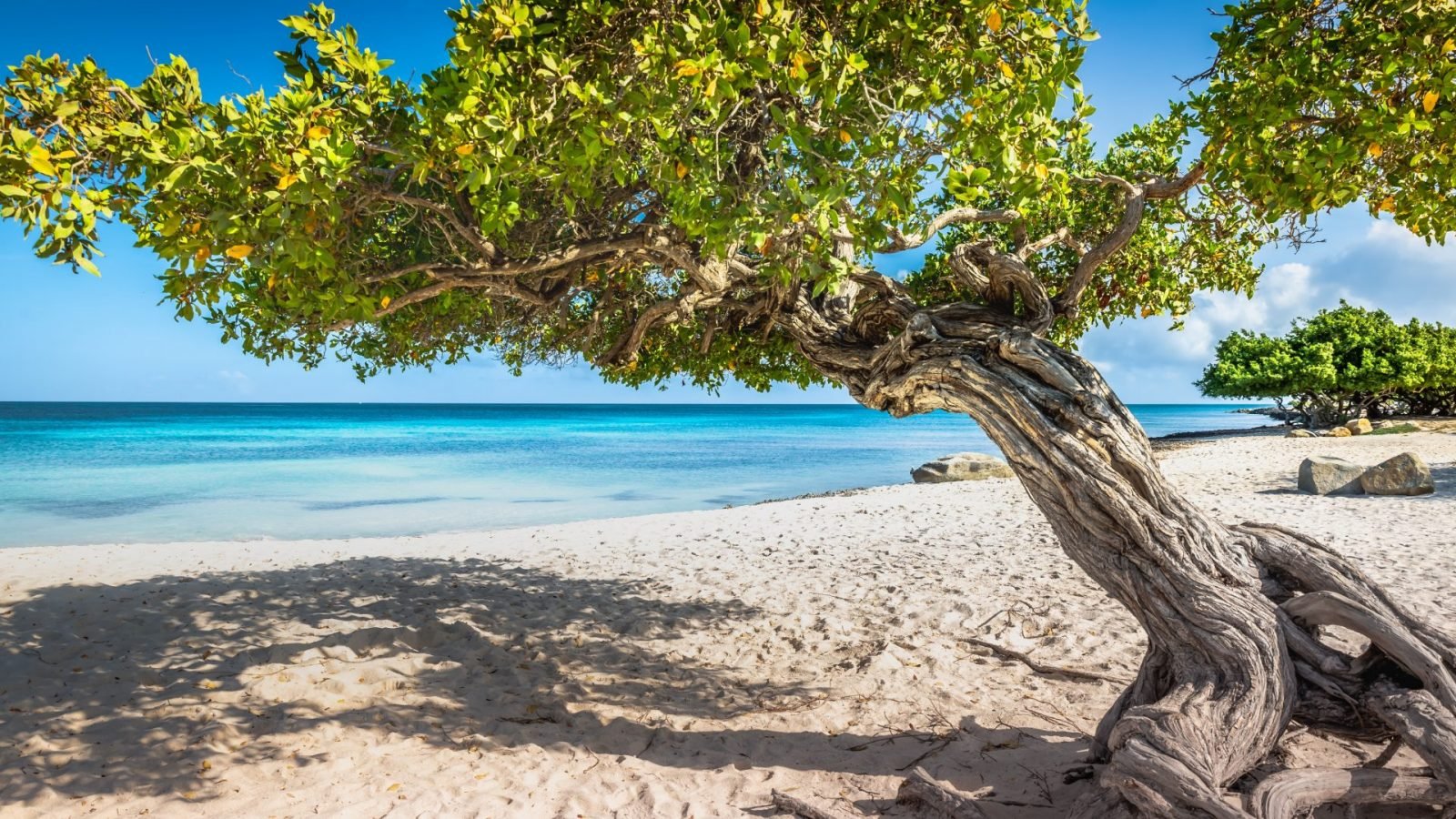 Eagle Beach na Arubie