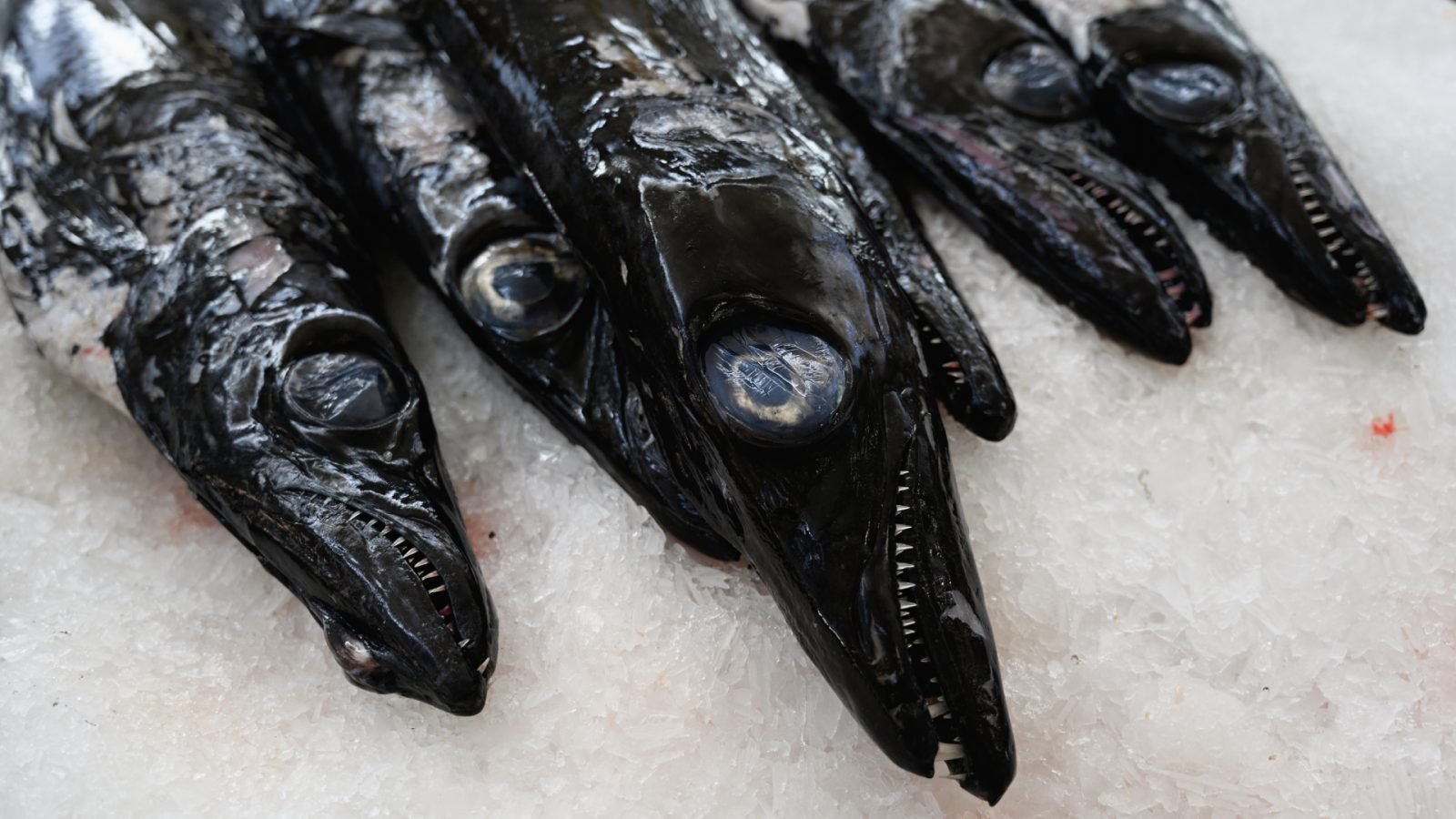 kuchnia-madery-poznaj-i-sprobuj-najwieksze-przysmaki-galeria-1