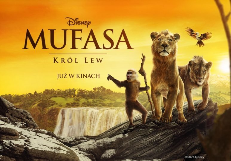 dokad-pojechac-na-safari-w-afryce-top3-kierunki-informacja