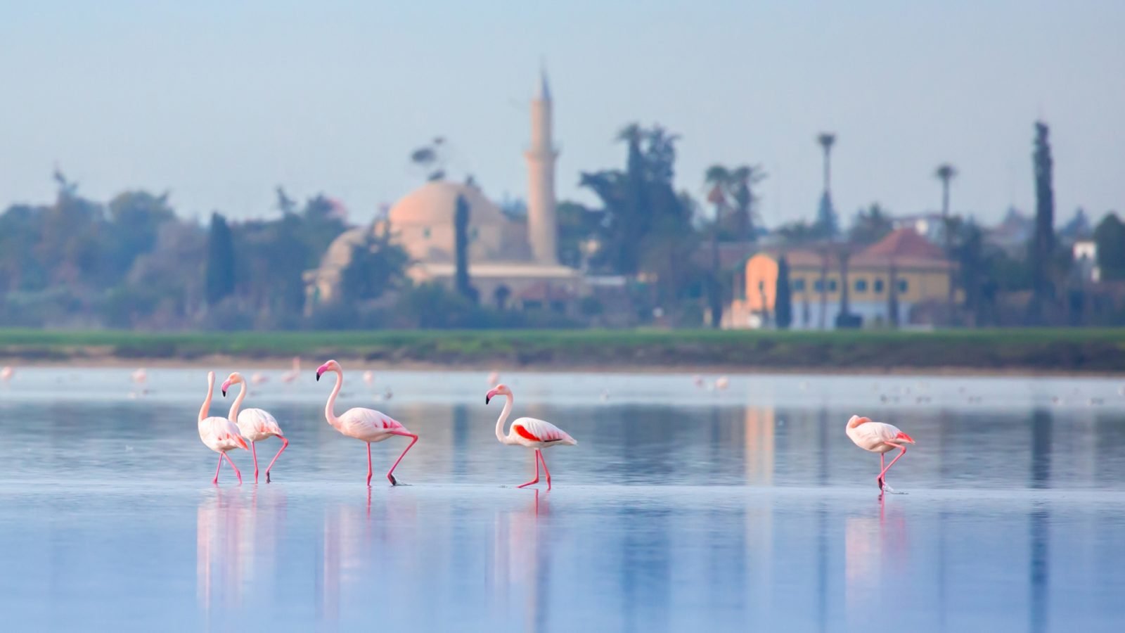 cypr-atrakcje-najpiekniejsza-turystyczna-wyspa-pelna-ciekawych-miejsc-galeria-2