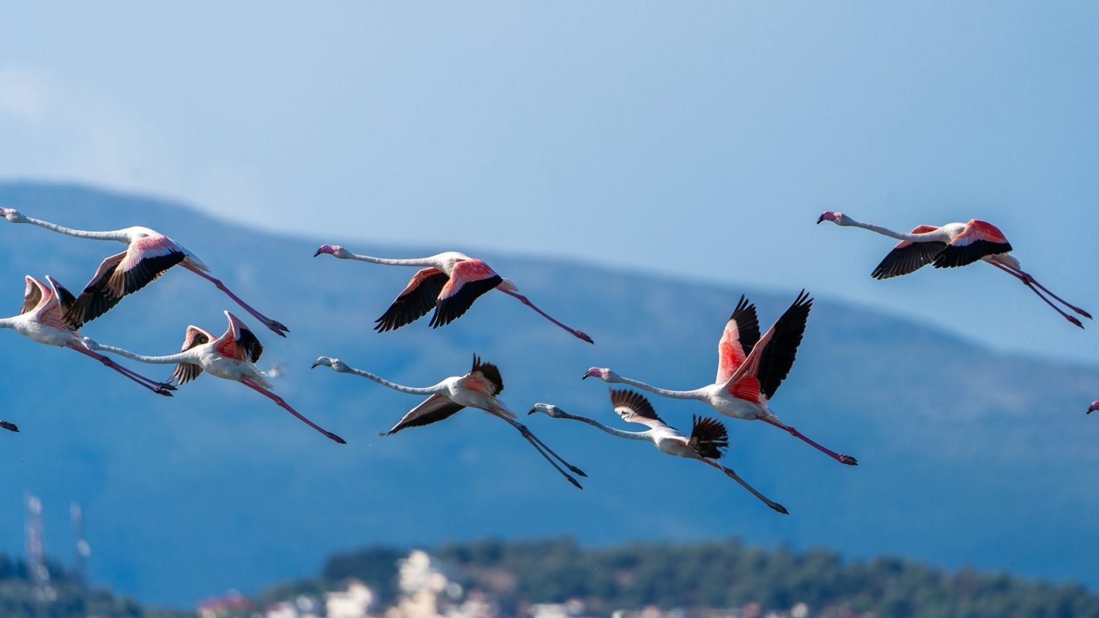 albania-co-zobaczyc-najpiekniejsze-miejsca-i-atrakcje-galeria-2