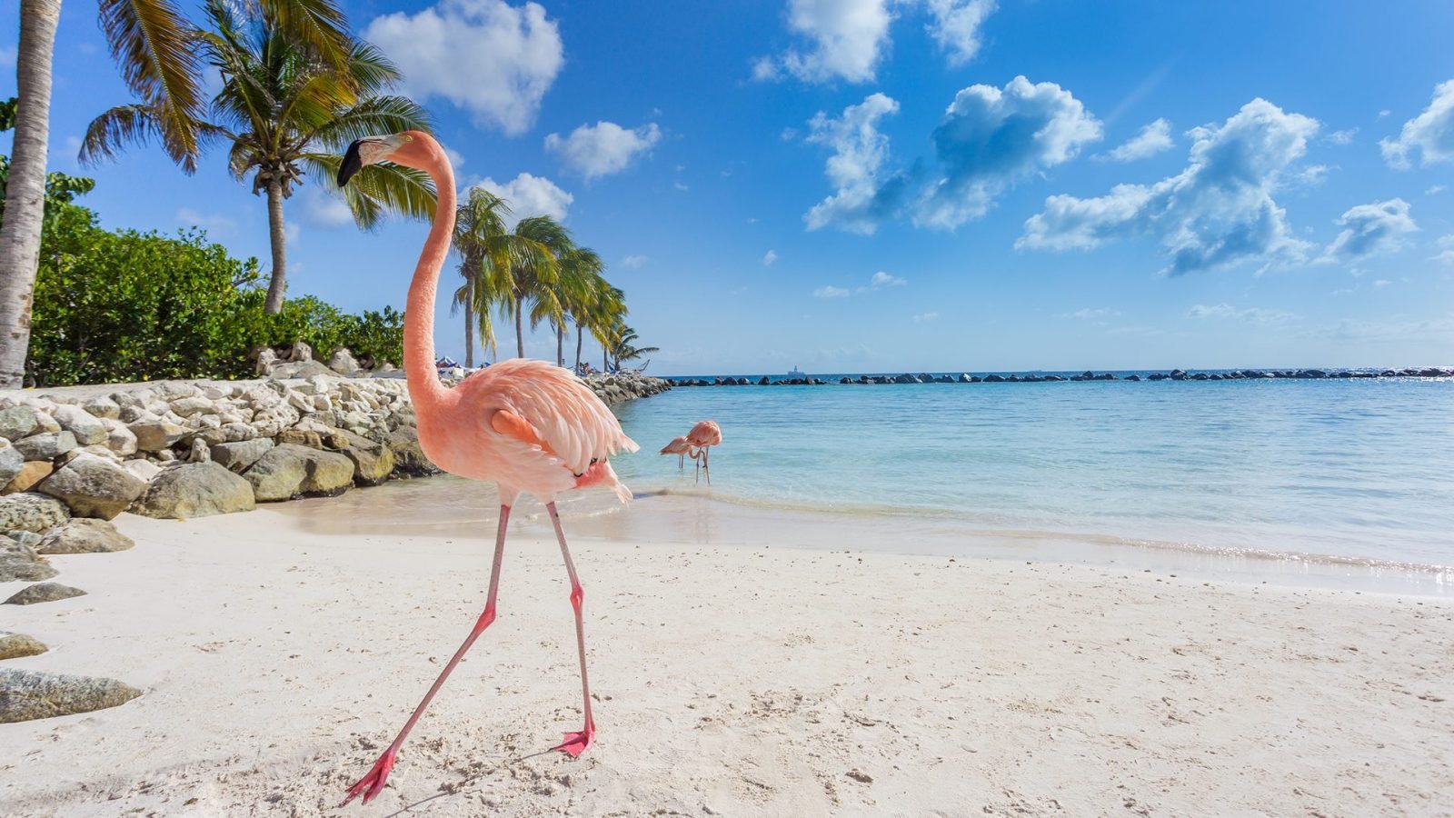 gdzie-na-karaiby-przeglad-najpiekniejszych-wysp-karaibskich-galeria-2