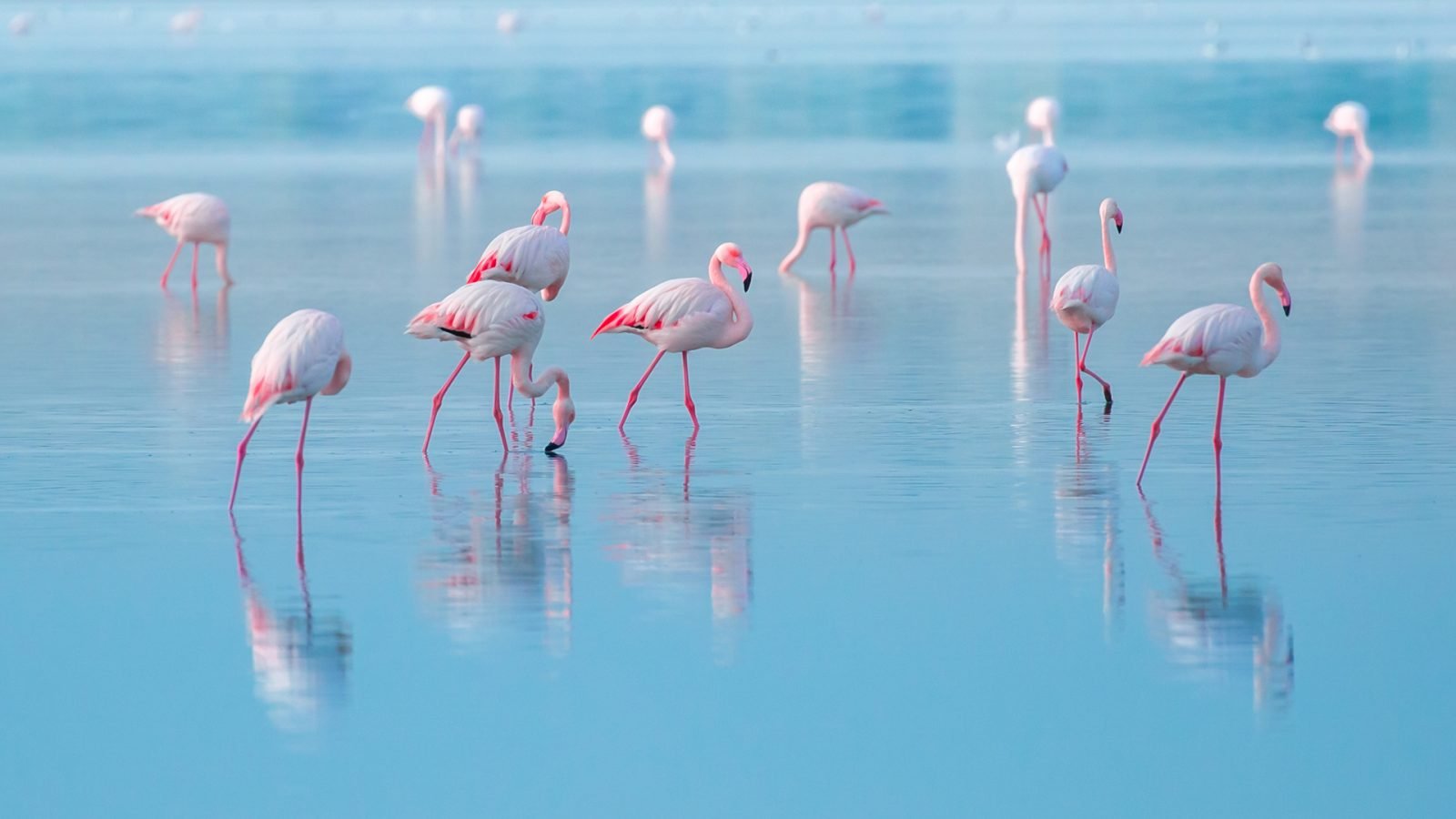 pafos-czy-larnaka-ktore-miasto-wybrac-na-wakacje-na-cyprze-galeria-1