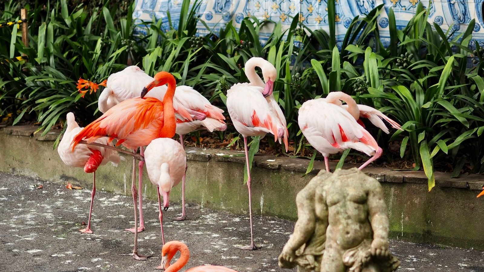 funchal-co-zobaczyc-najciekawsze-atrakcje-stolicy-madery-galeria-1