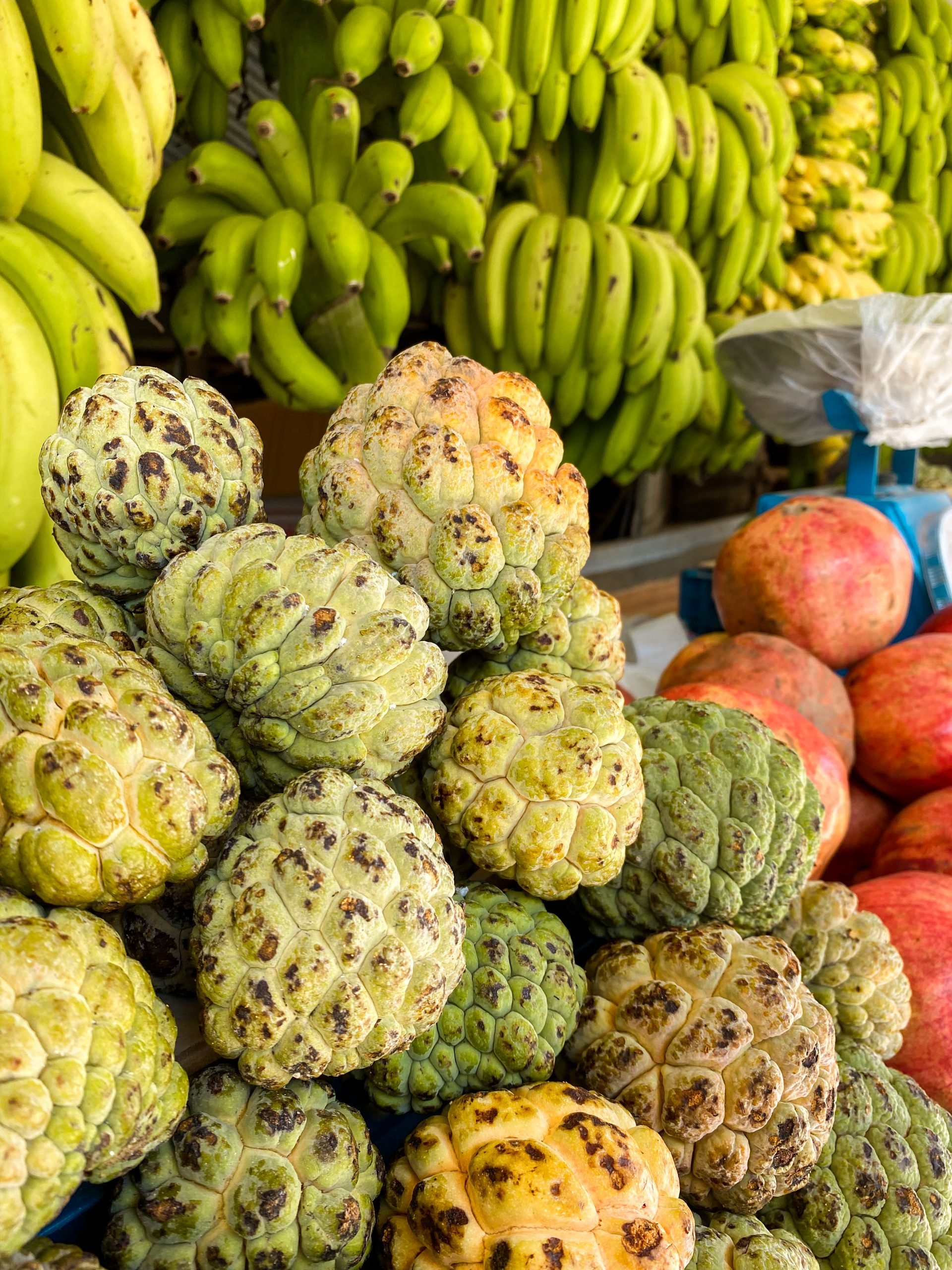 oman-karaiby-orientu-galeria-1