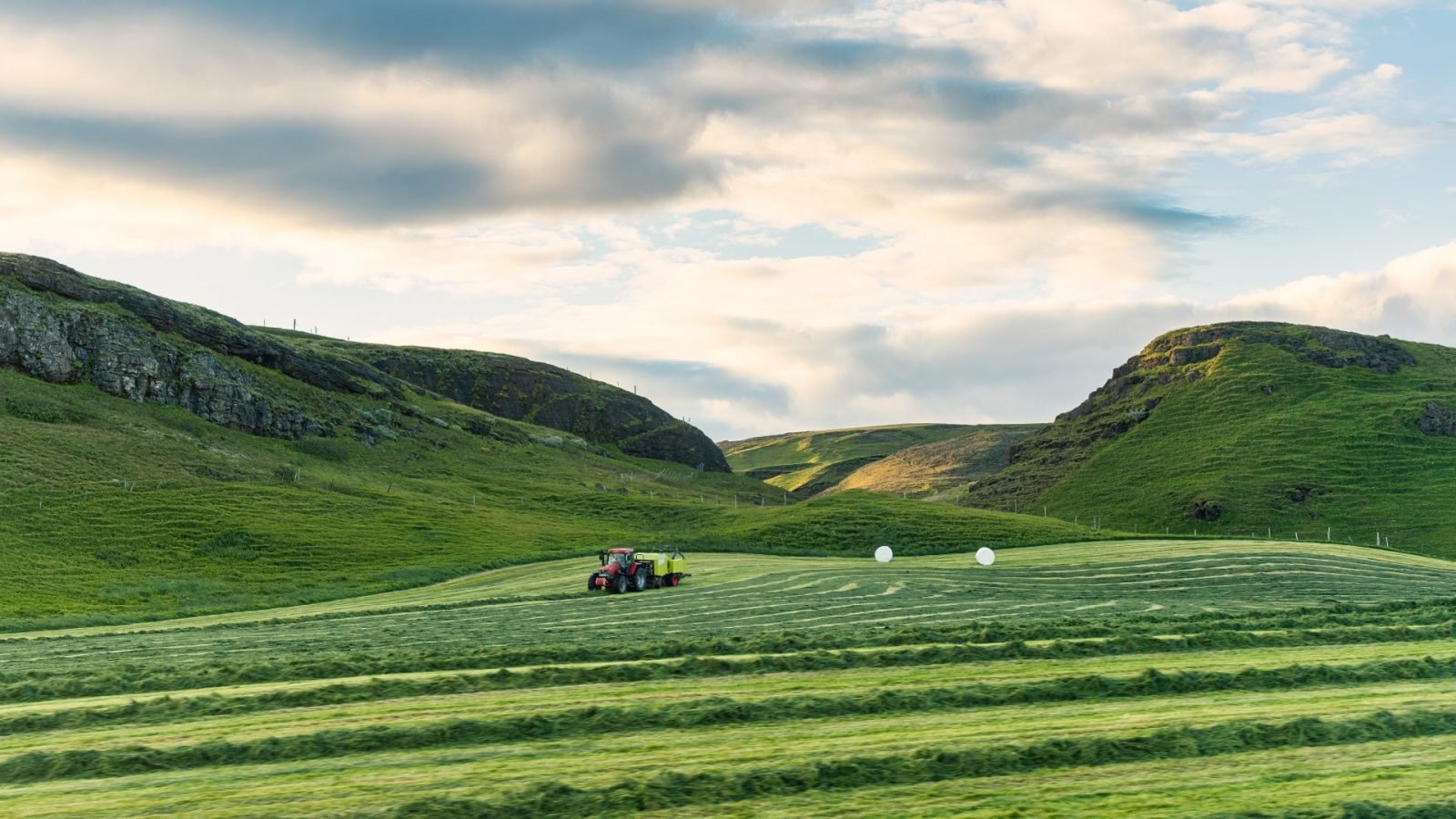Przywiązanie Islandczyków do pracy