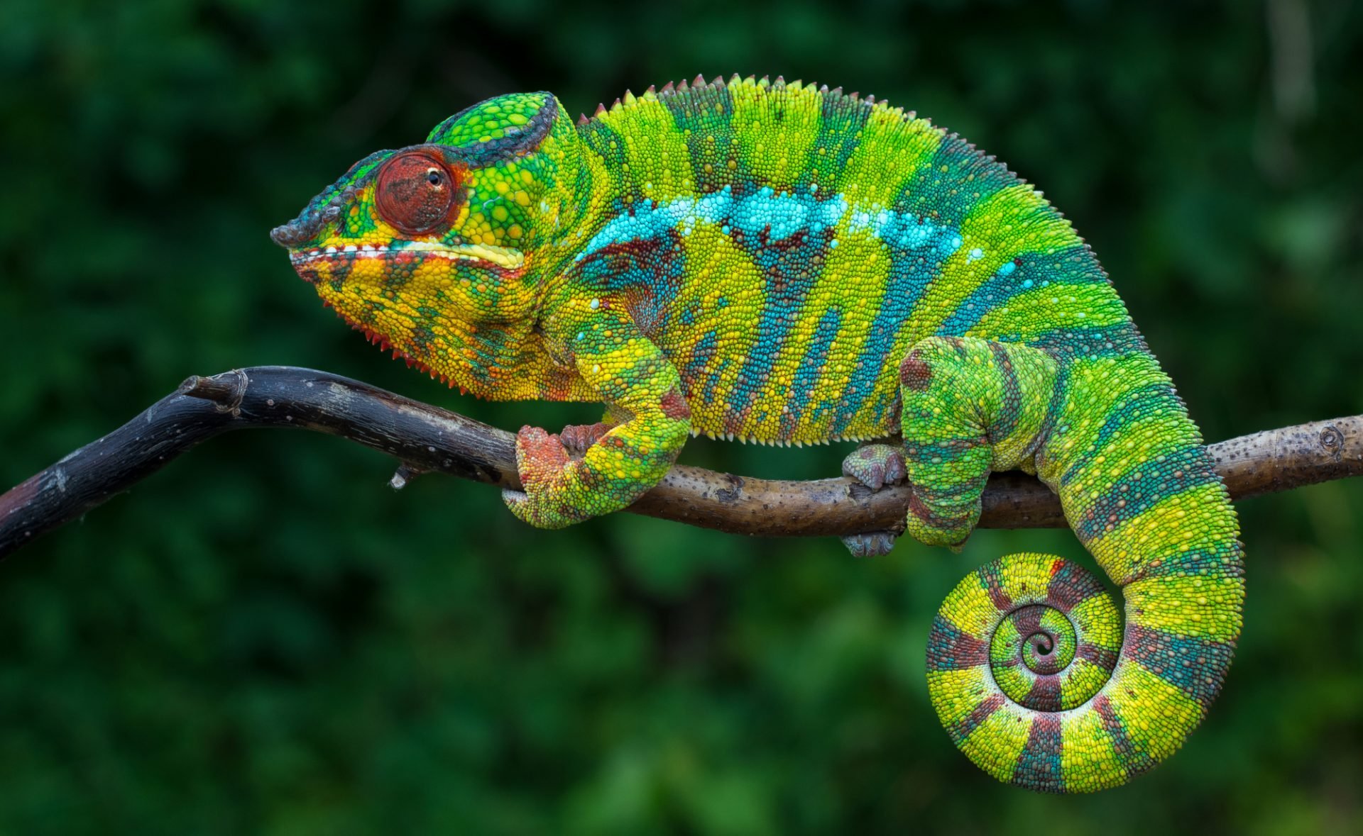 10-powodow-dla-ktorych-warto-odwiedzic-madagaskar-galeria-1