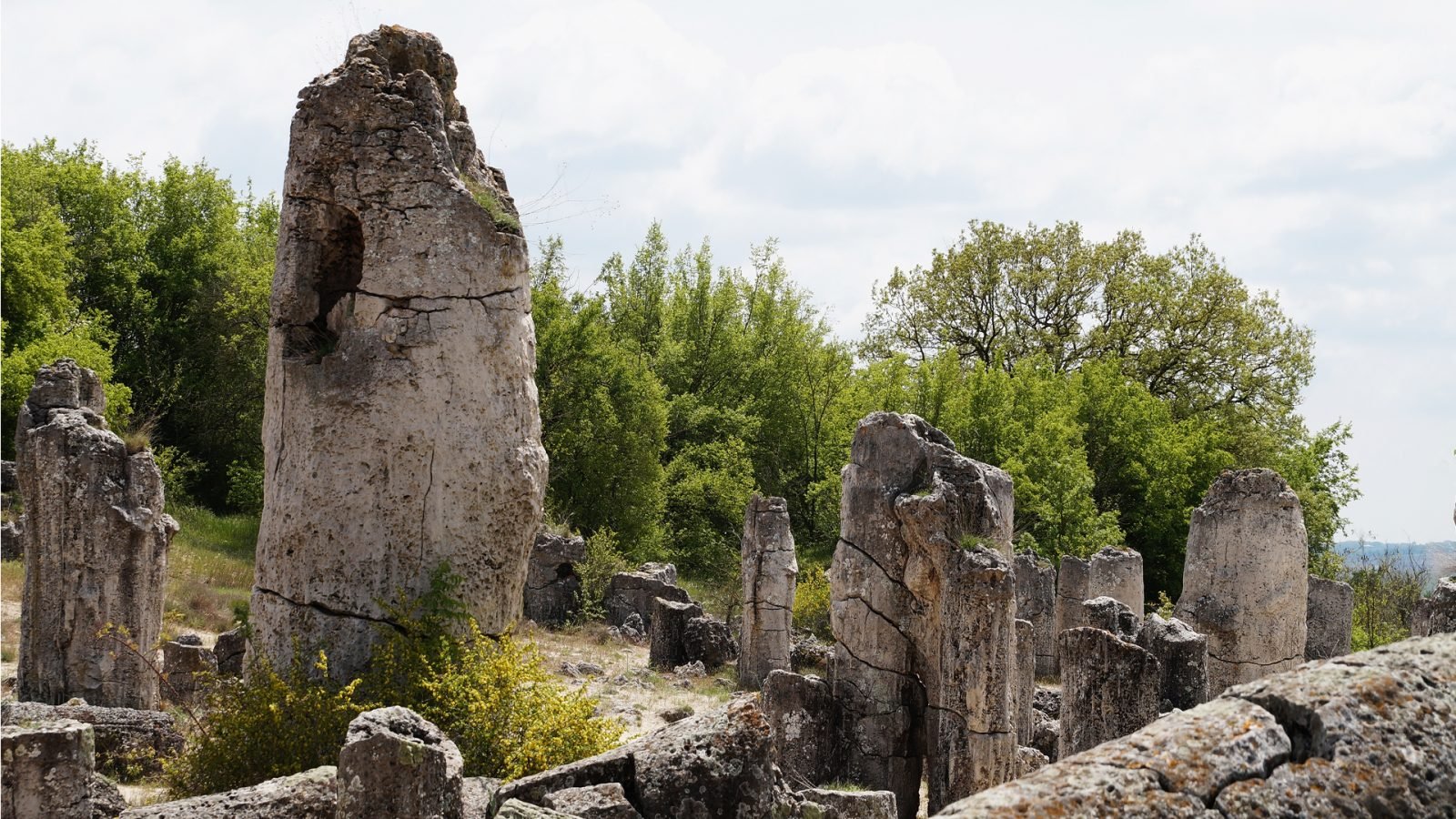 Rezerwat Kamienny Las