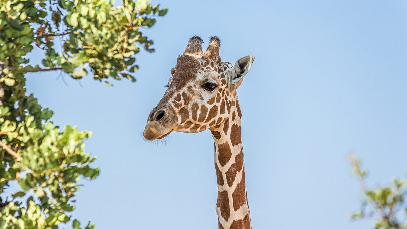 pafos-najlepsze-atrakcje-turystyczne-galeria-2