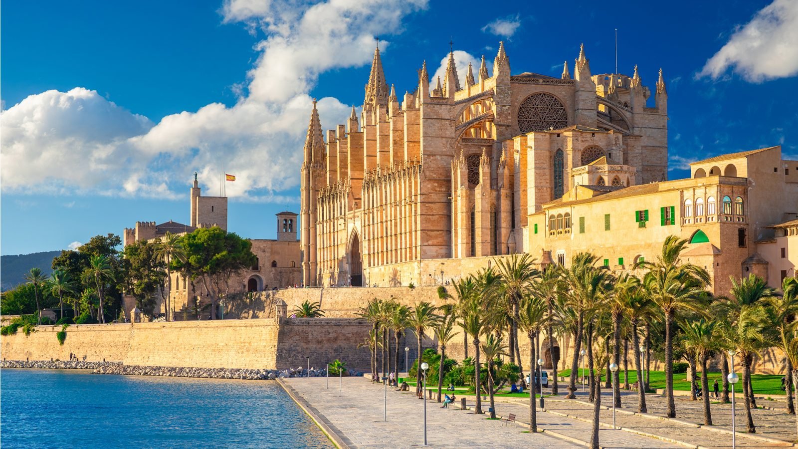 Katedra La Seu w Palmie