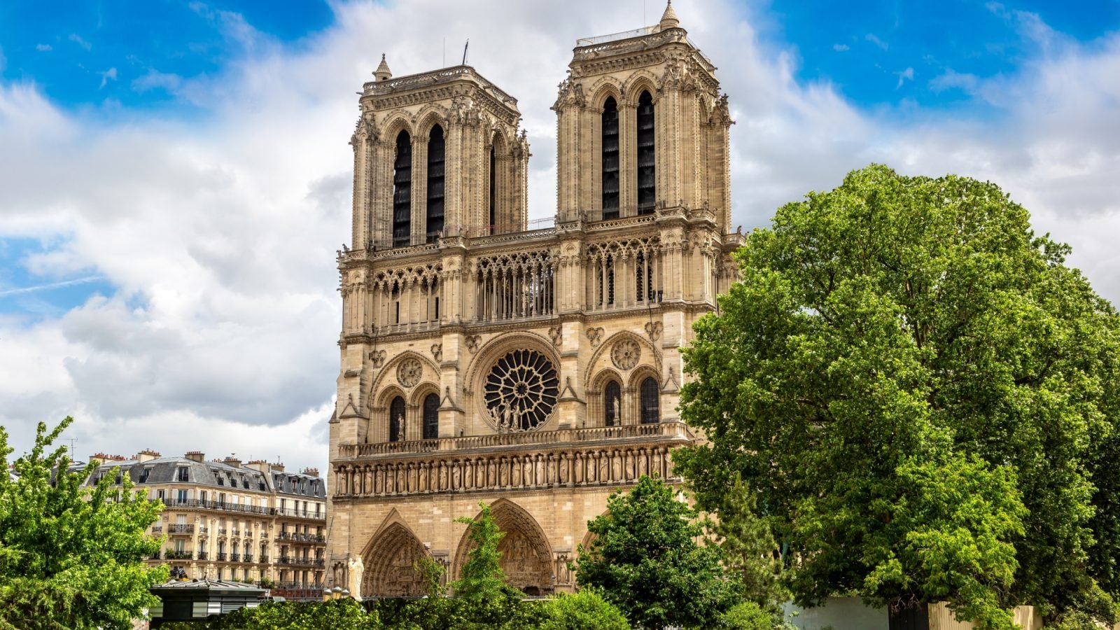 katedra Notre Dame