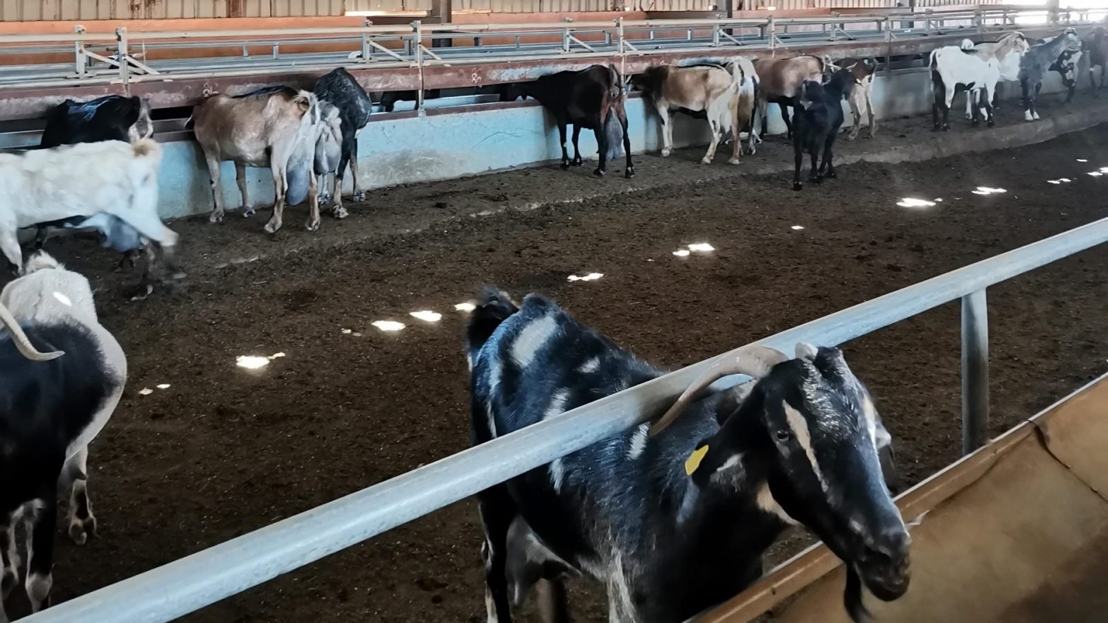 fuerteventura-atrakcje-ktore-warto-zobaczyc-galeria-3