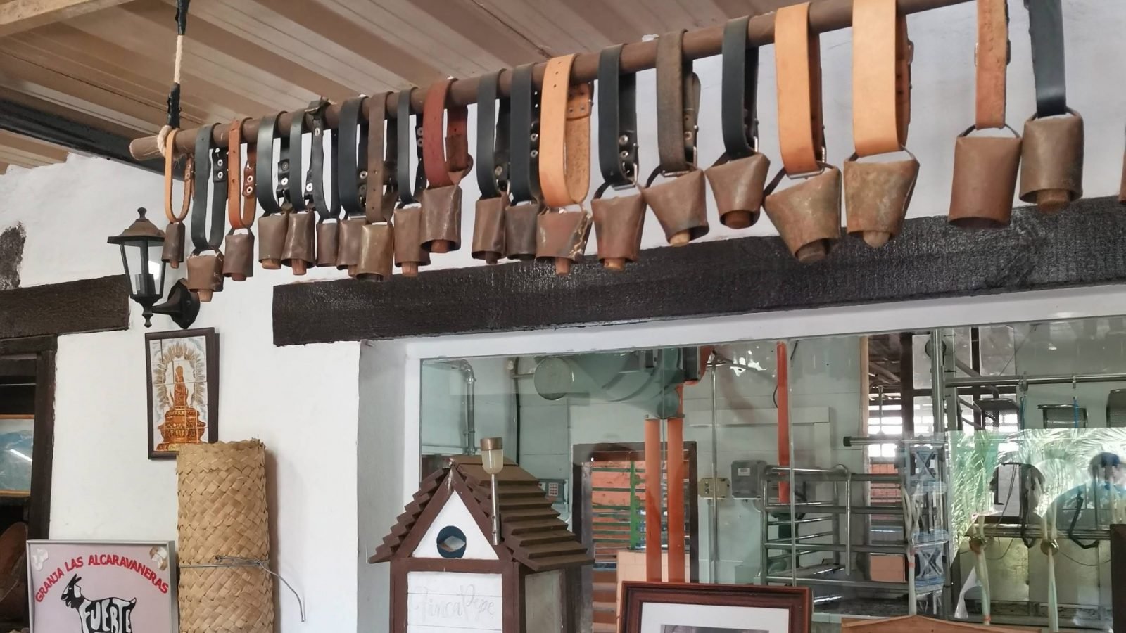 fuerteventura-atrakcje-ktore-warto-zobaczyc-galeria-2