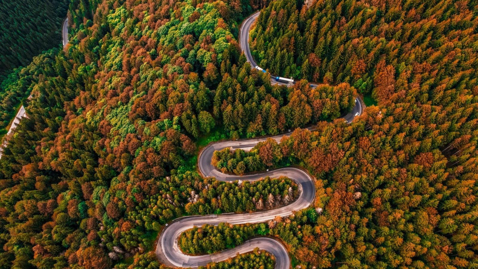 rumunia-i-jej-tajemnicza-transylwania-czyli-na-tropie-drakuli-galeria-1