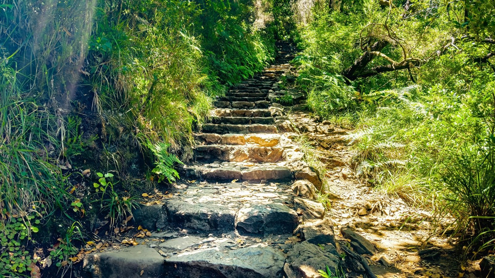 madera-co-warto-wiedziec-przed-wyjazdem-galeria-2