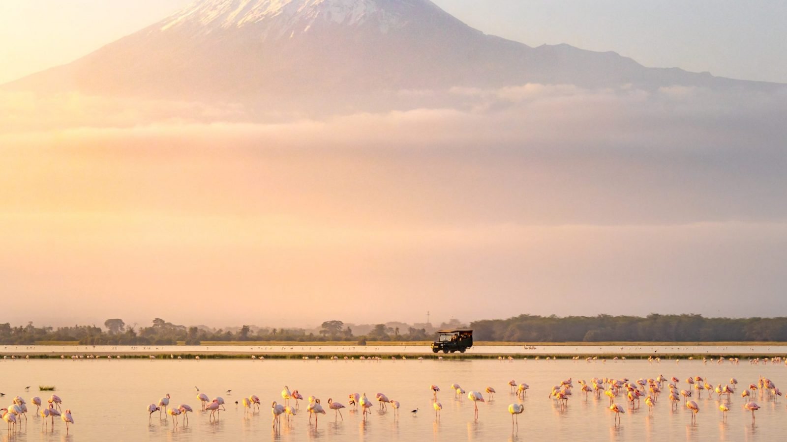 jak-wyglada-safari-w-kenii-galeria-1