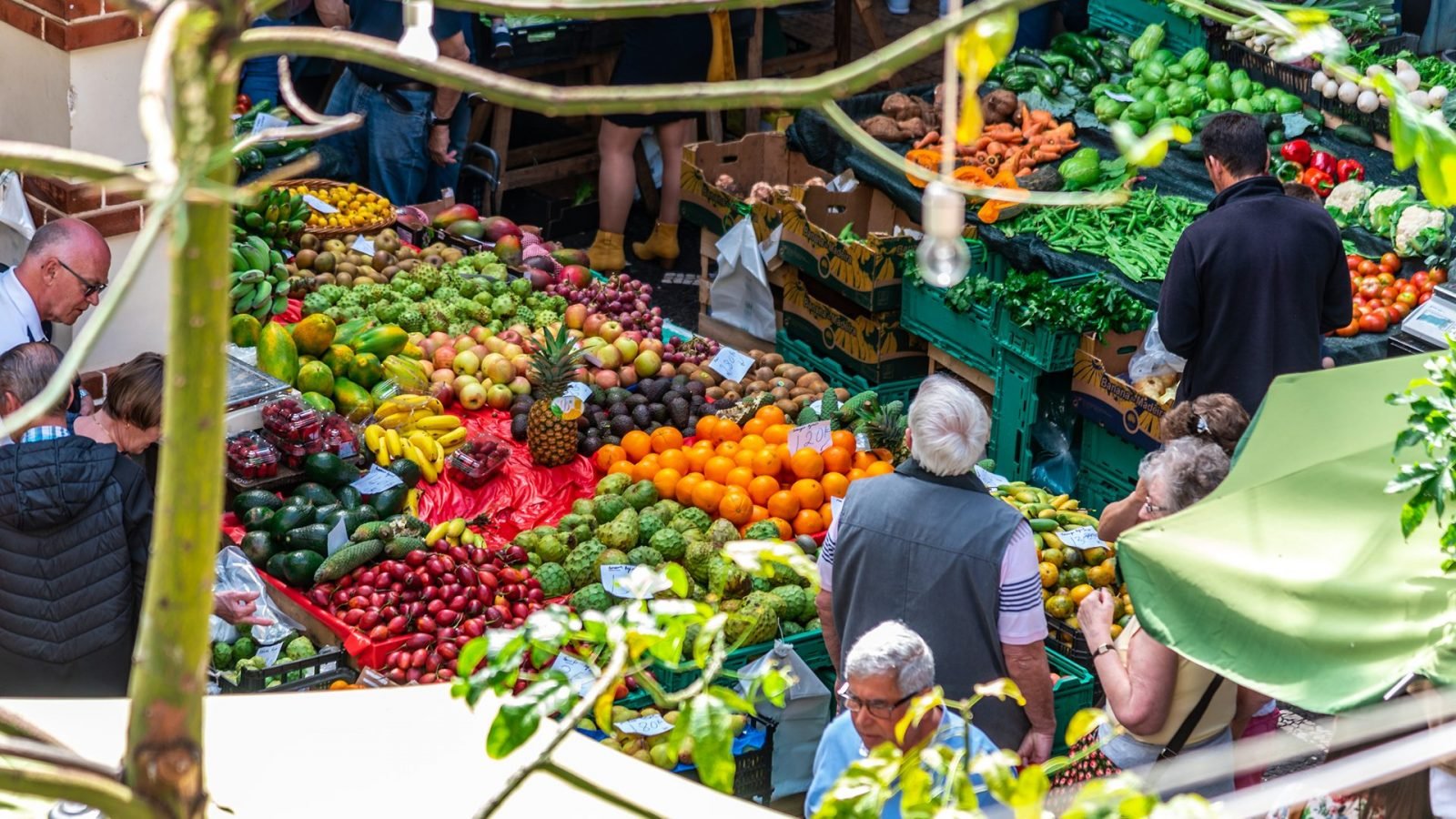 funchal-co-zobaczyc-najciekawsze-atrakcje-stolicy-madery-galeria-1