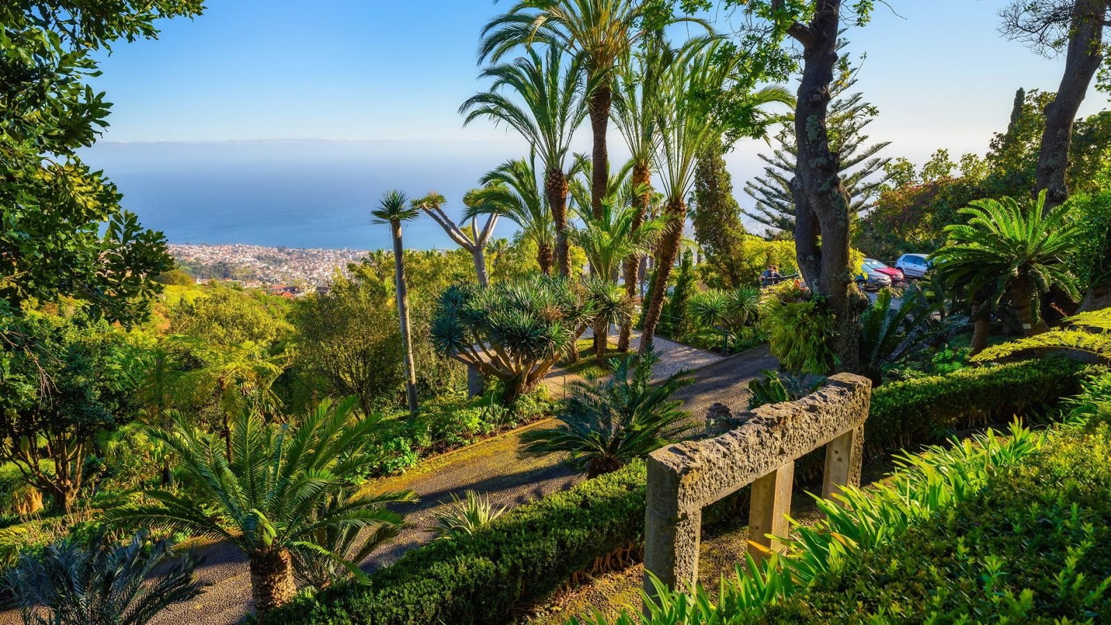 funchal-co-zobaczyc-najciekawsze-atrakcje-stolicy-madery-galeria-1