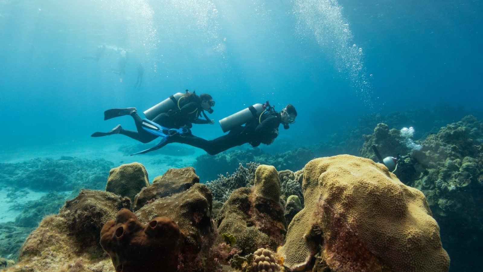 Nurkowanie w Egipcie - ubezpieczenie