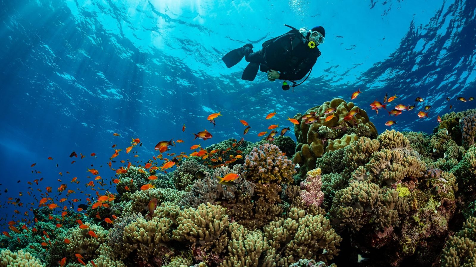 gdzie-na-wakacje-w-kwietniu-galeria-1