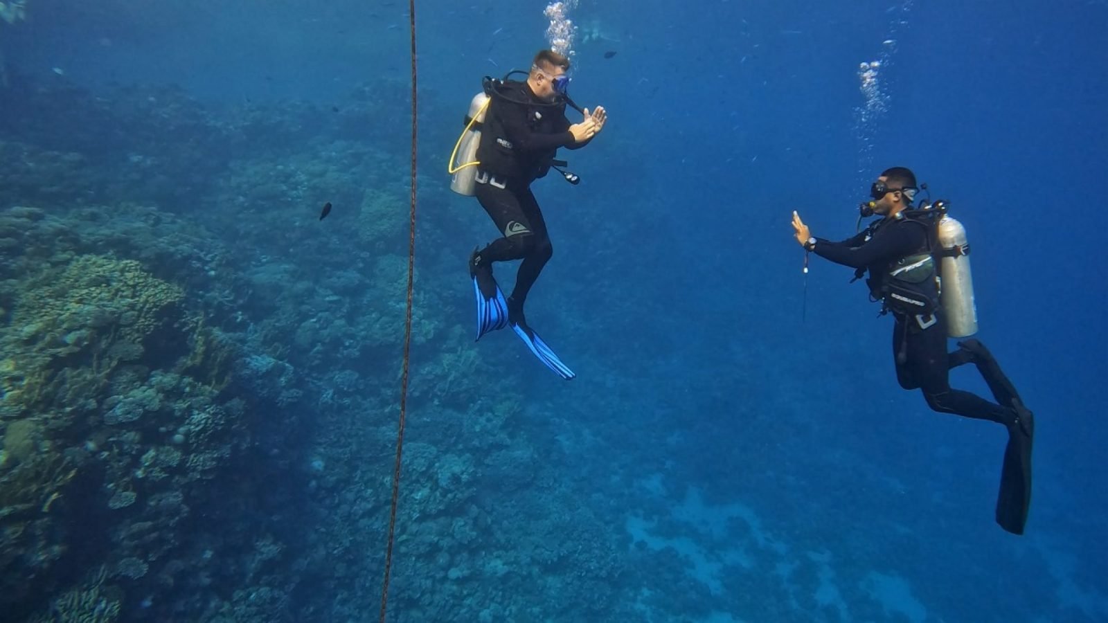 egipt nurkowanie rafa