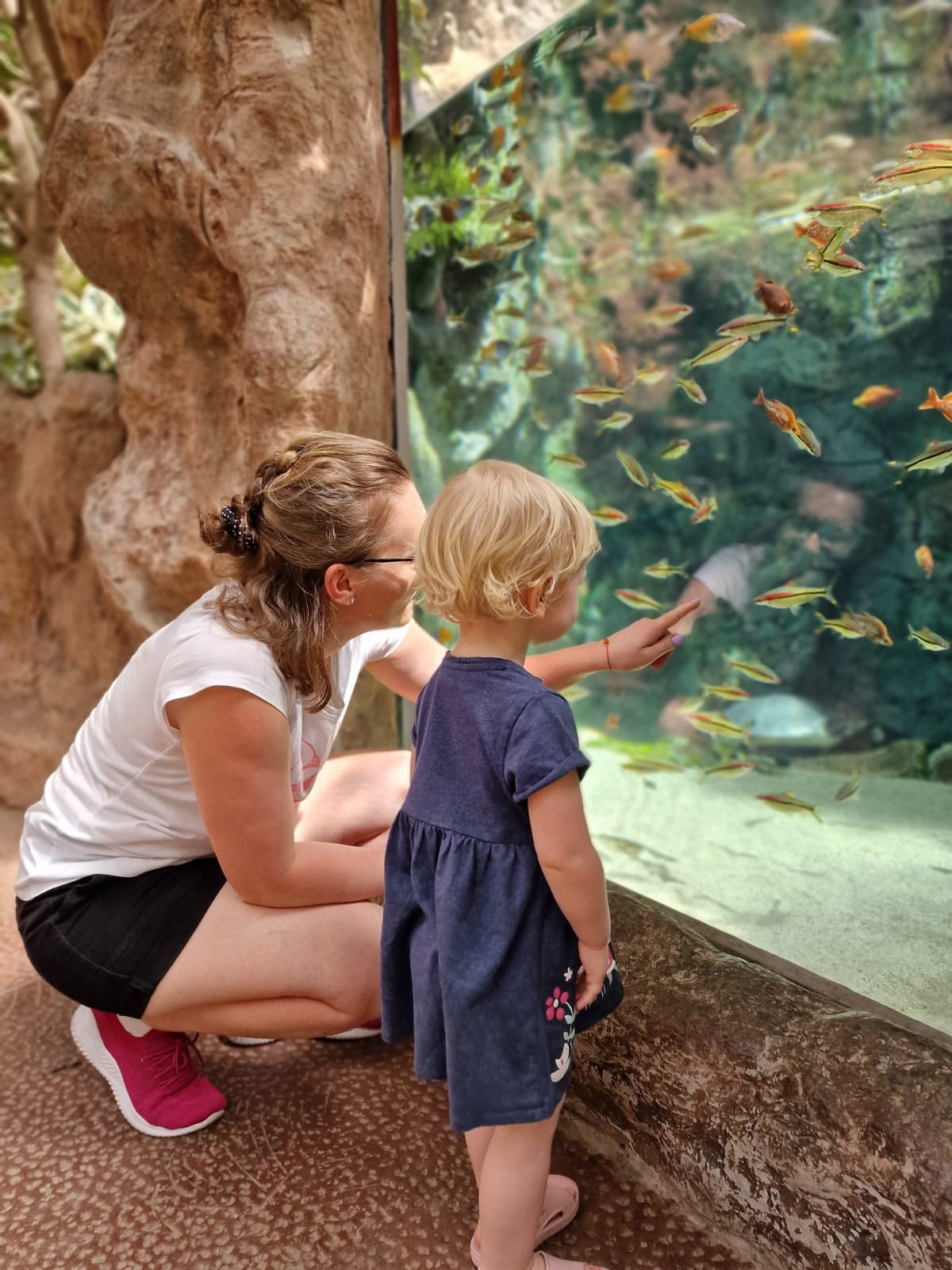 czym-sie-wyroznia-gran-canaria-czyli-gdzie-na-wczasy-na-wyspy-kanaryjskie-galeria-1