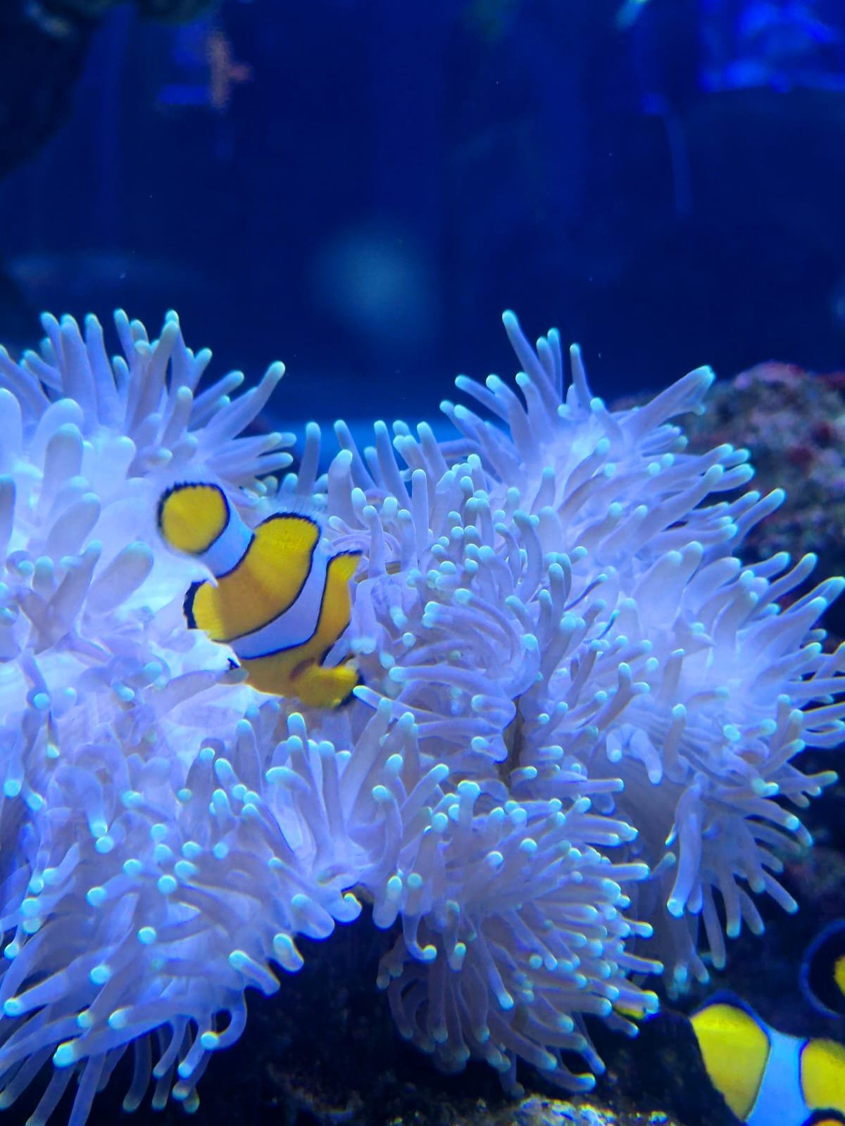 czym-sie-wyroznia-gran-canaria-czyli-gdzie-na-wczasy-na-wyspy-kanaryjskie-galeria-2