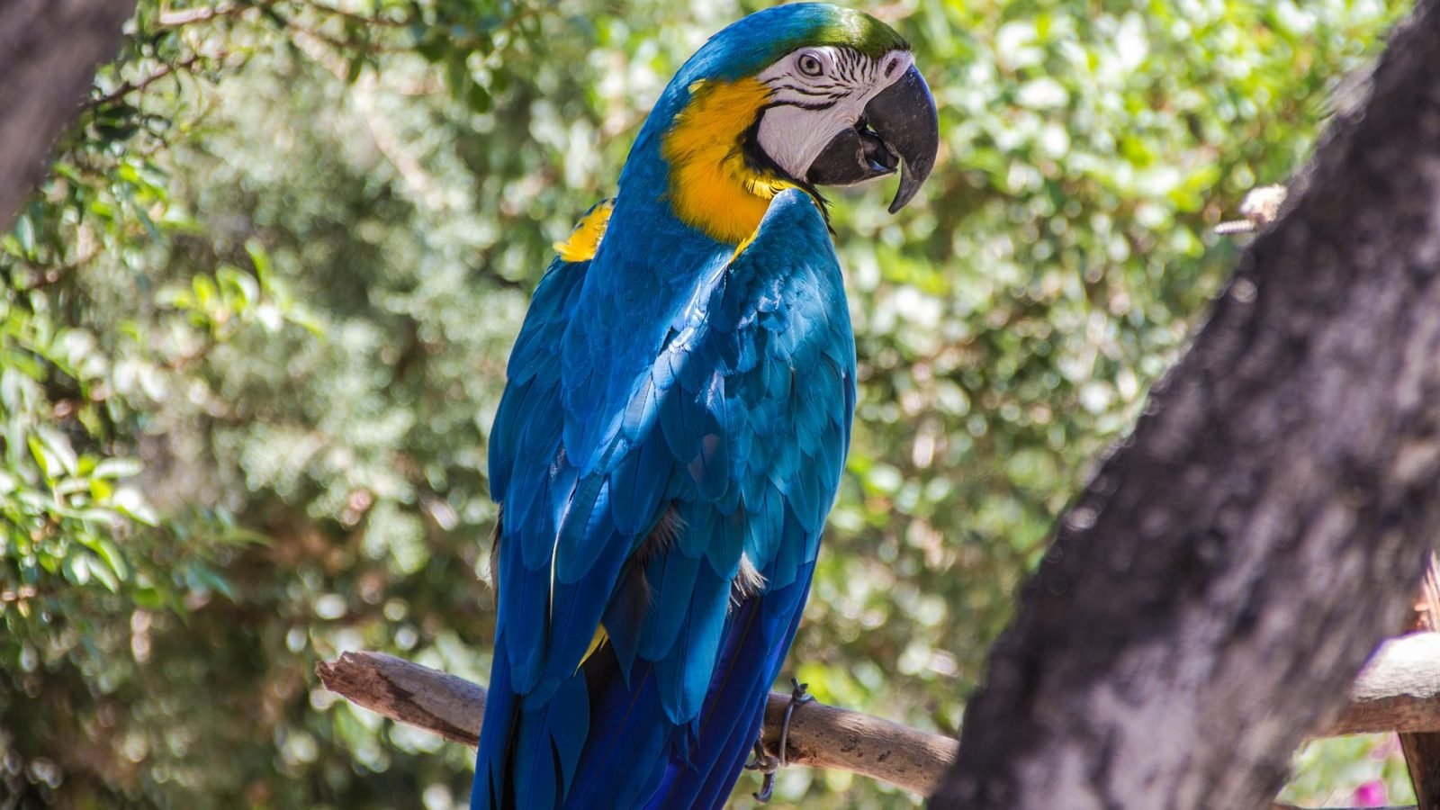 pafos-najlepsze-atrakcje-turystyczne-galeria-1