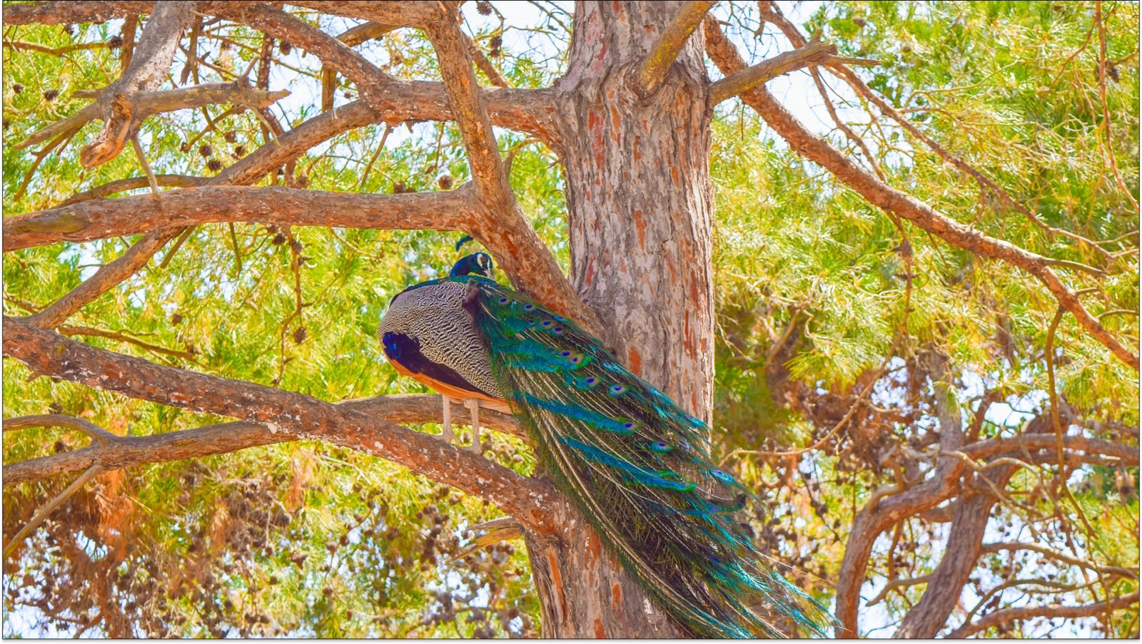 co-zobaczyc-na-kos-atrakcje-greckiej-wyspy-kos-galeria-1