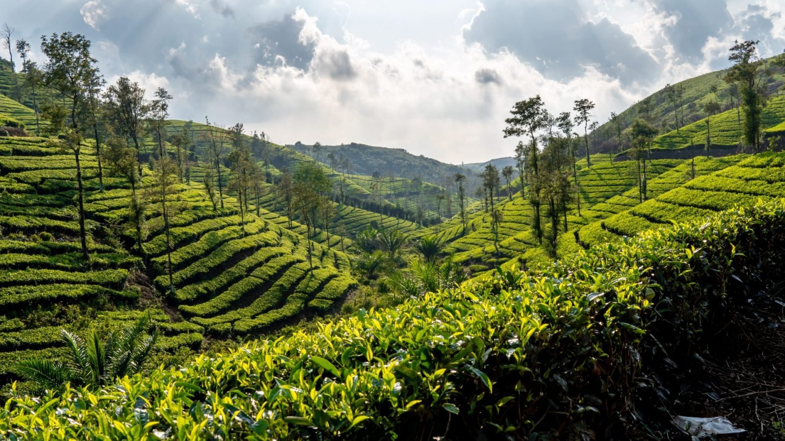 gdzie-na-wakacje-w-lutym-9-najlepszych-kierunkow-na-zimowy-urlop-galeria-2