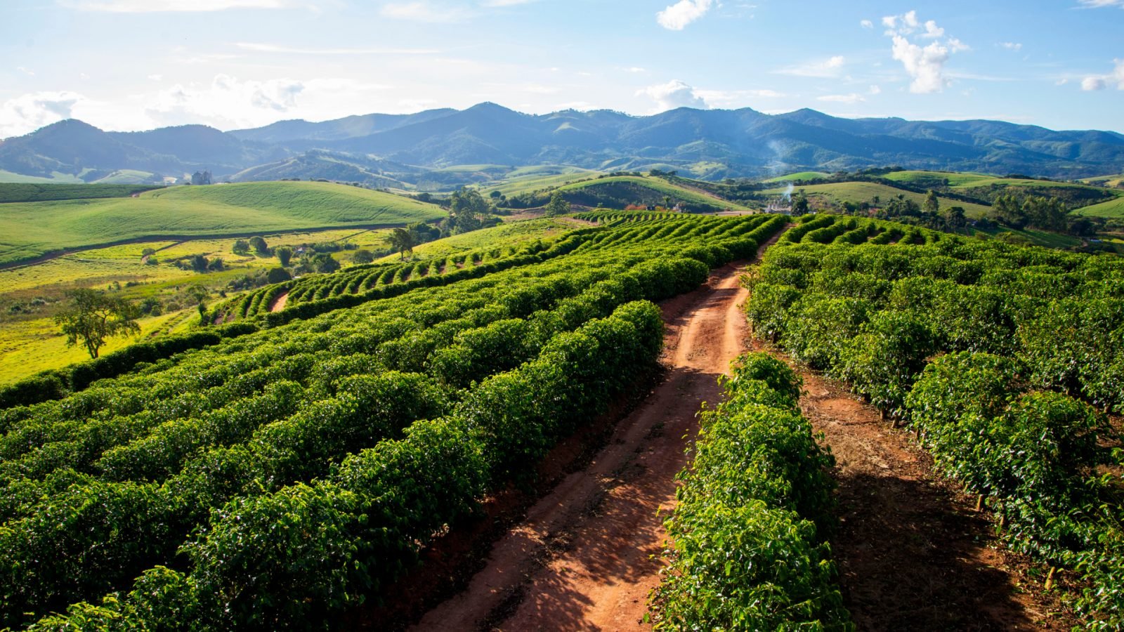 atrakcje-turystyczne-brazylii-poznaj-10-powodow-by-tam-pojechac-galeria-1