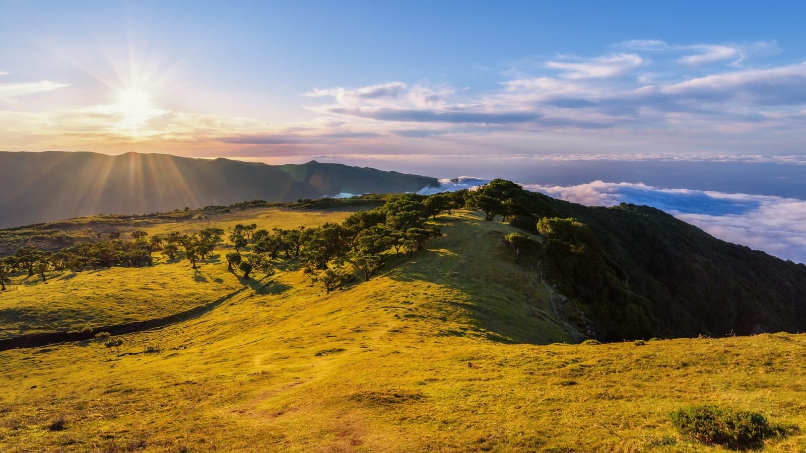 atrakcje-madery-co-zobaczyc-na-wyspie-wiecznej-wiosny-galeria-1