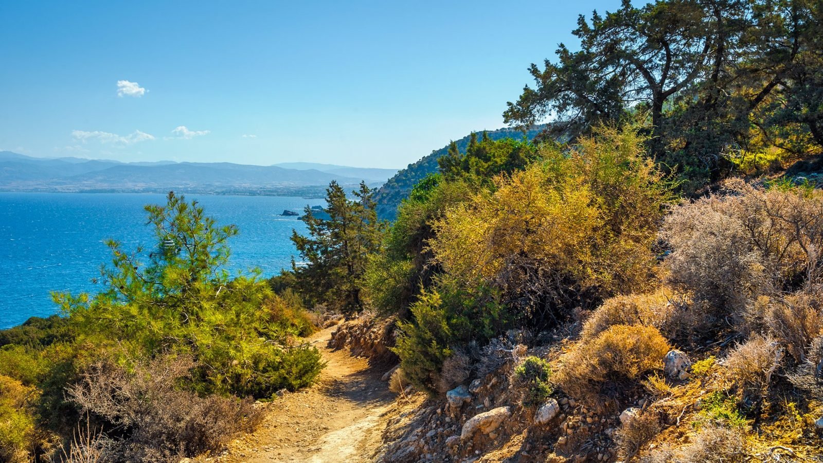 pafos-najlepsze-atrakcje-turystyczne-galeria-2