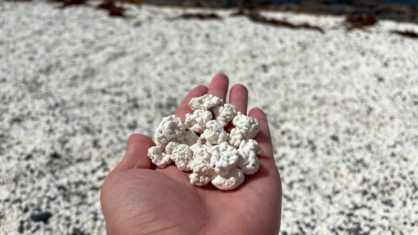 fuerteventura-atrakcje-ktore-warto-zobaczyc-galeria-1