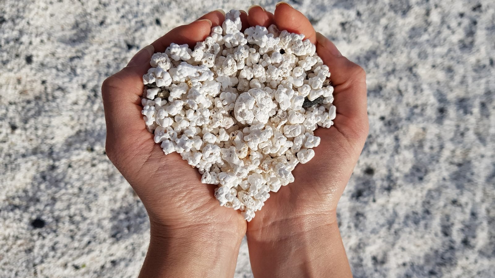 Popcorn Beach - Fuerteventura