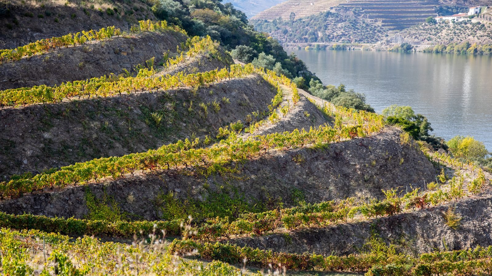 gdzie-na-wakacje-w-listopadzie-galeria-1