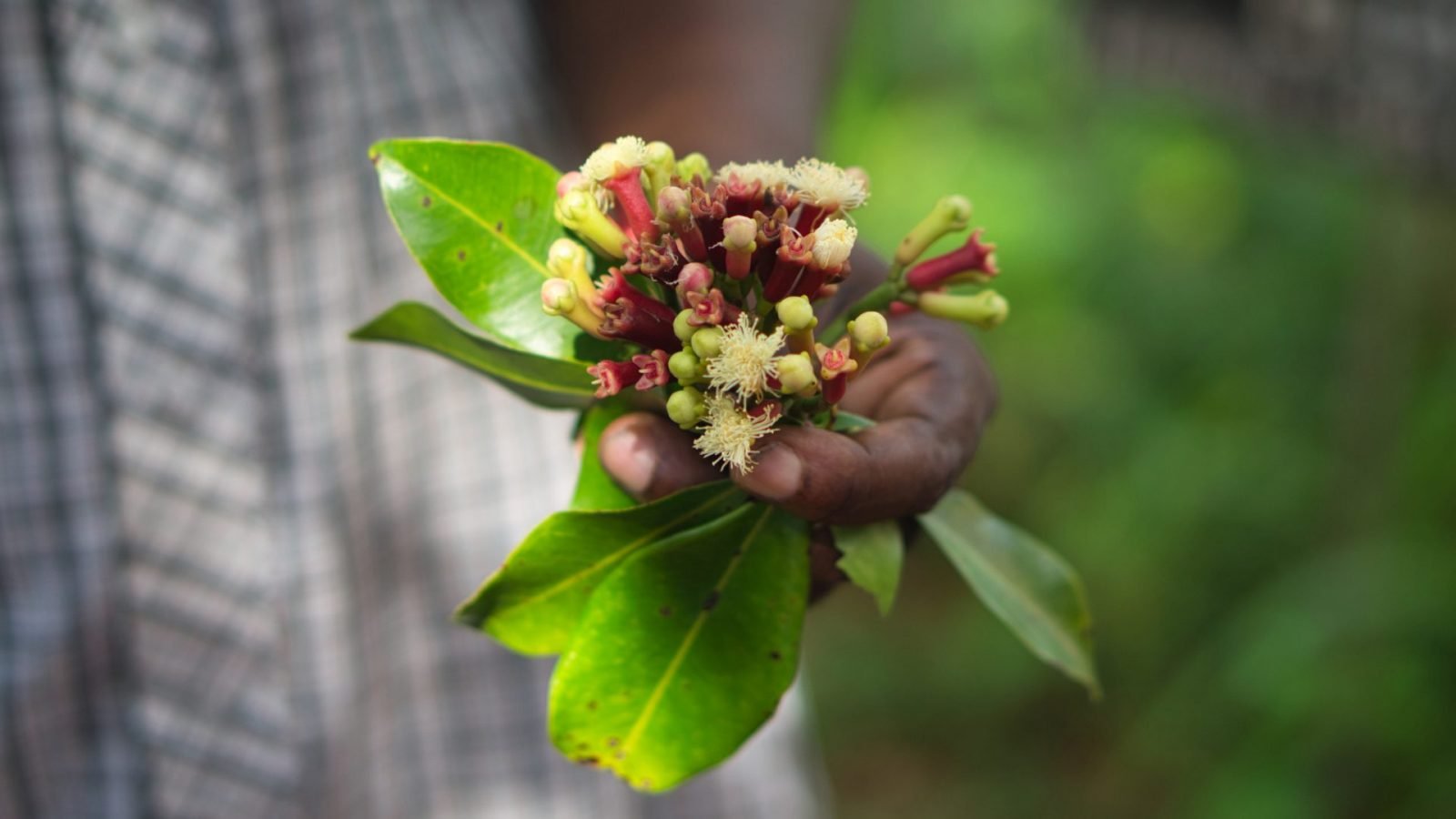 co-przywiezc-z-zanzibaru-przedstawiamy-najciekawsze-pamiatki-galeria-1