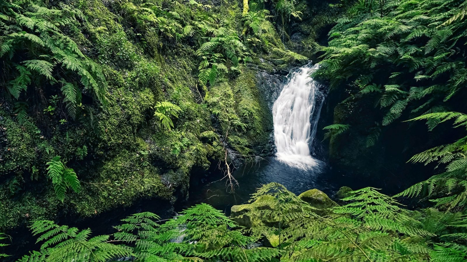 madera-co-warto-wiedziec-przed-wyjazdem-galeria-1