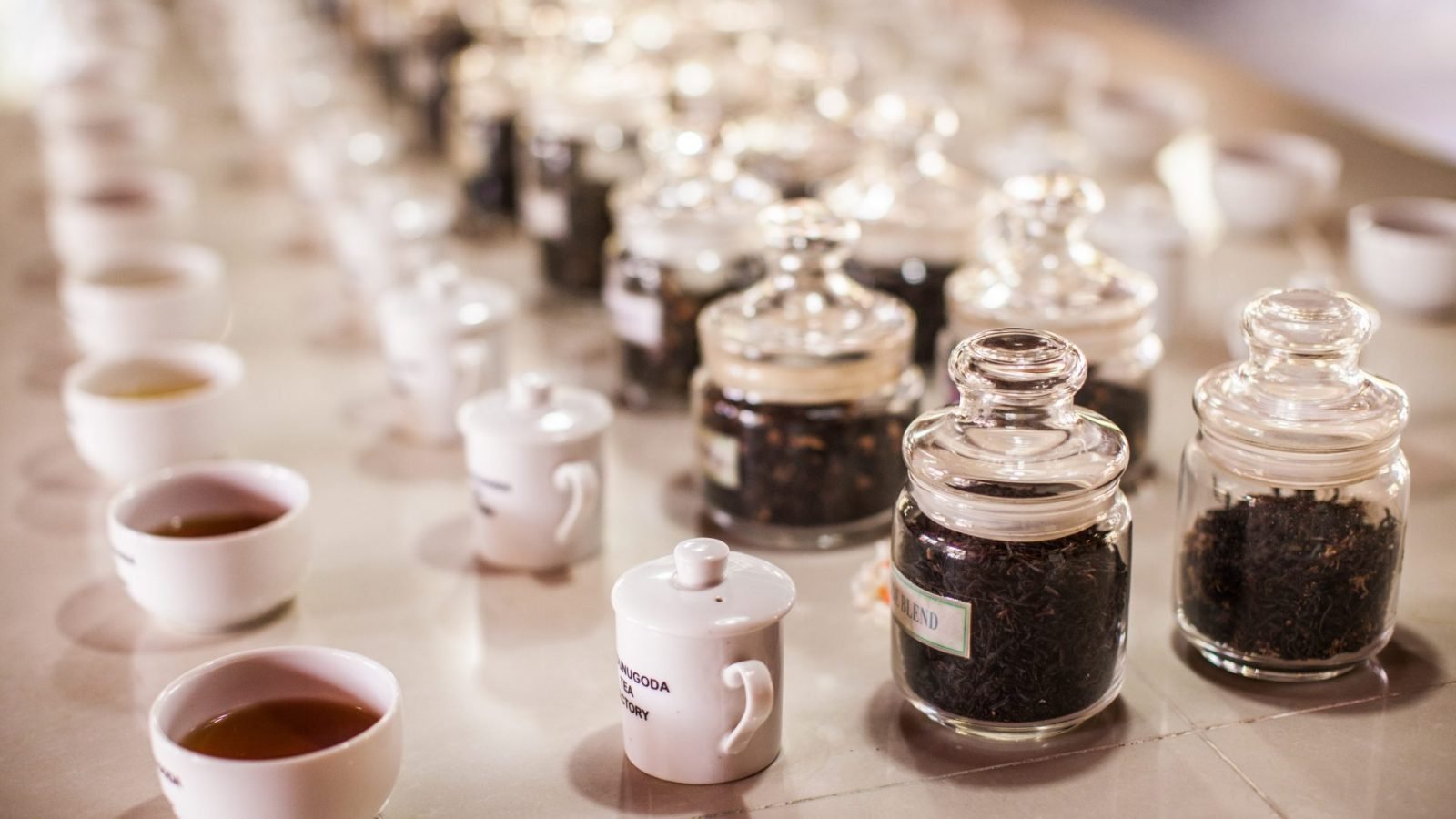 herbata-cejlonska-dowiedz-sie-wiecej-o-herbacie-ze-sri-lanki-galeria-1