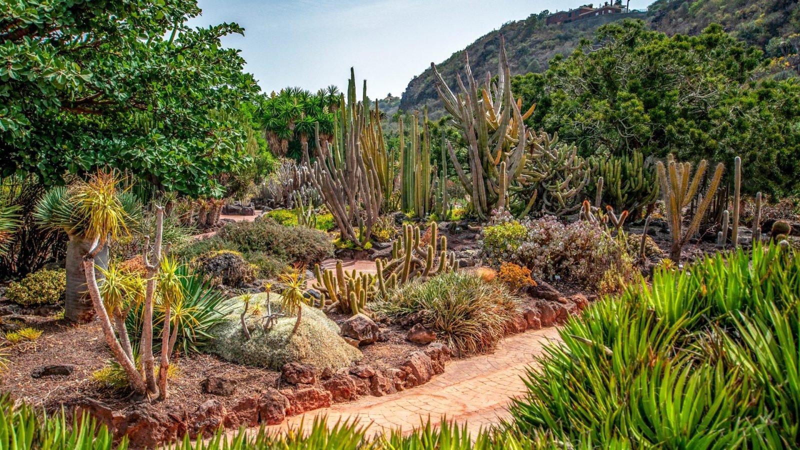 czym-sie-wyroznia-gran-canaria-czyli-gdzie-na-wczasy-na-wyspy-kanaryjskie-galeria-3