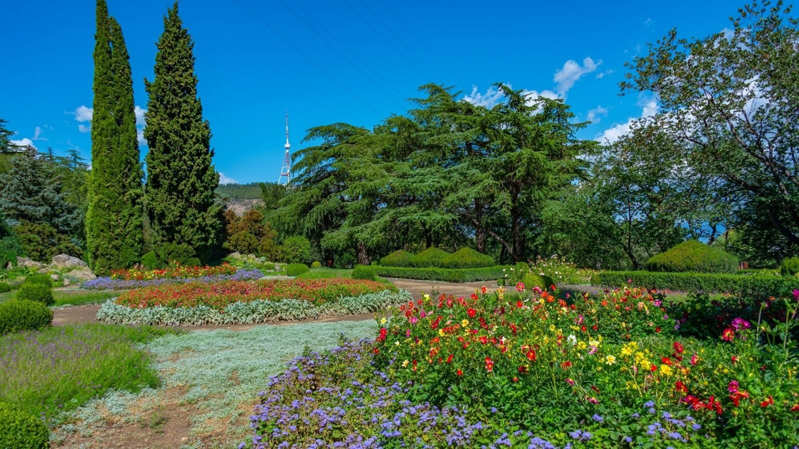 tbilisi-stolica-gruzji-co-warto-zobaczyc-galeria-1