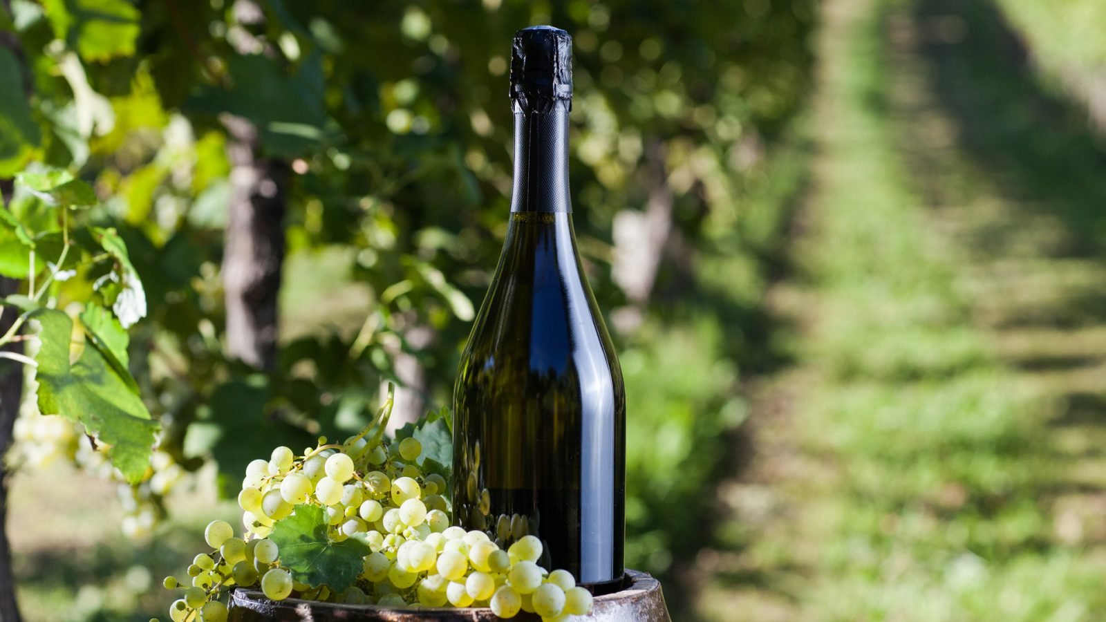 10-ciekawostek-o-wloszech-galeria-1