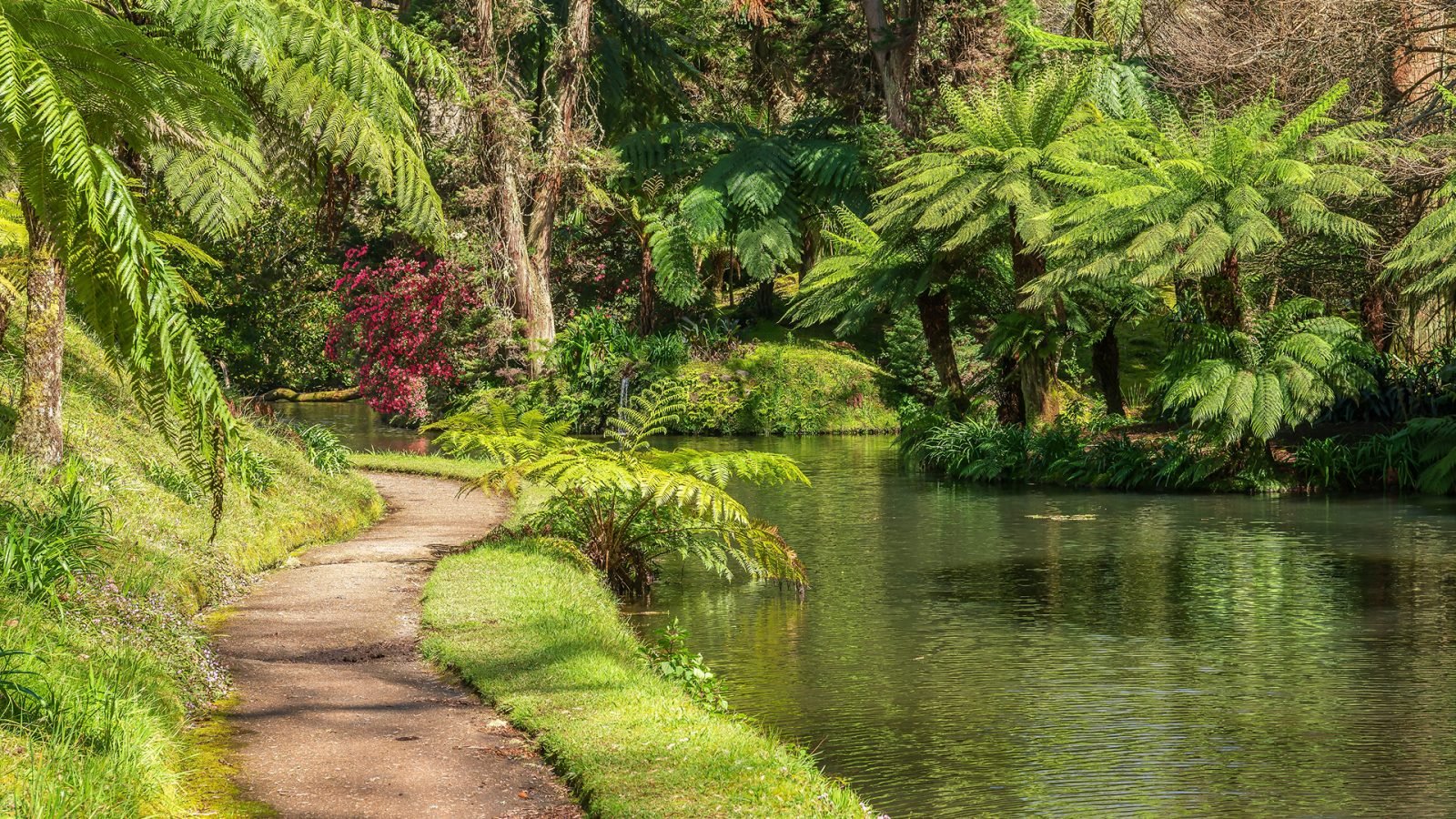 Ogród botaniczny Parque Terra Nostra