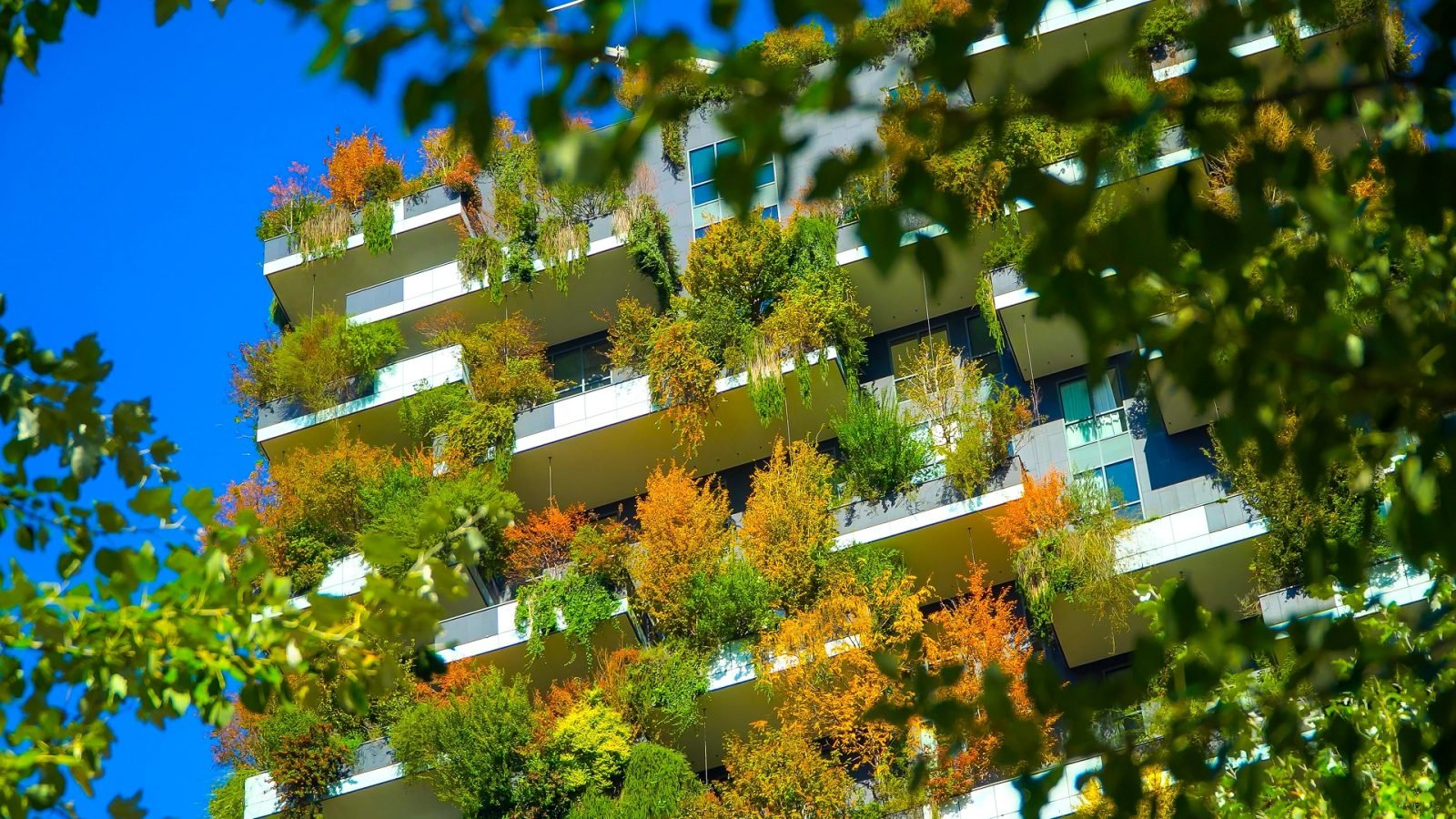 Nowoczesne i ekologiczne wieżowce z jesiennymi drzewami na balkonach. Pionowy Las. Nowoczesna architektura, ogrody wertykalne, tarasy z roślinami. Zielona Planeta. Błękitne niebo. Mediolan, Włochy