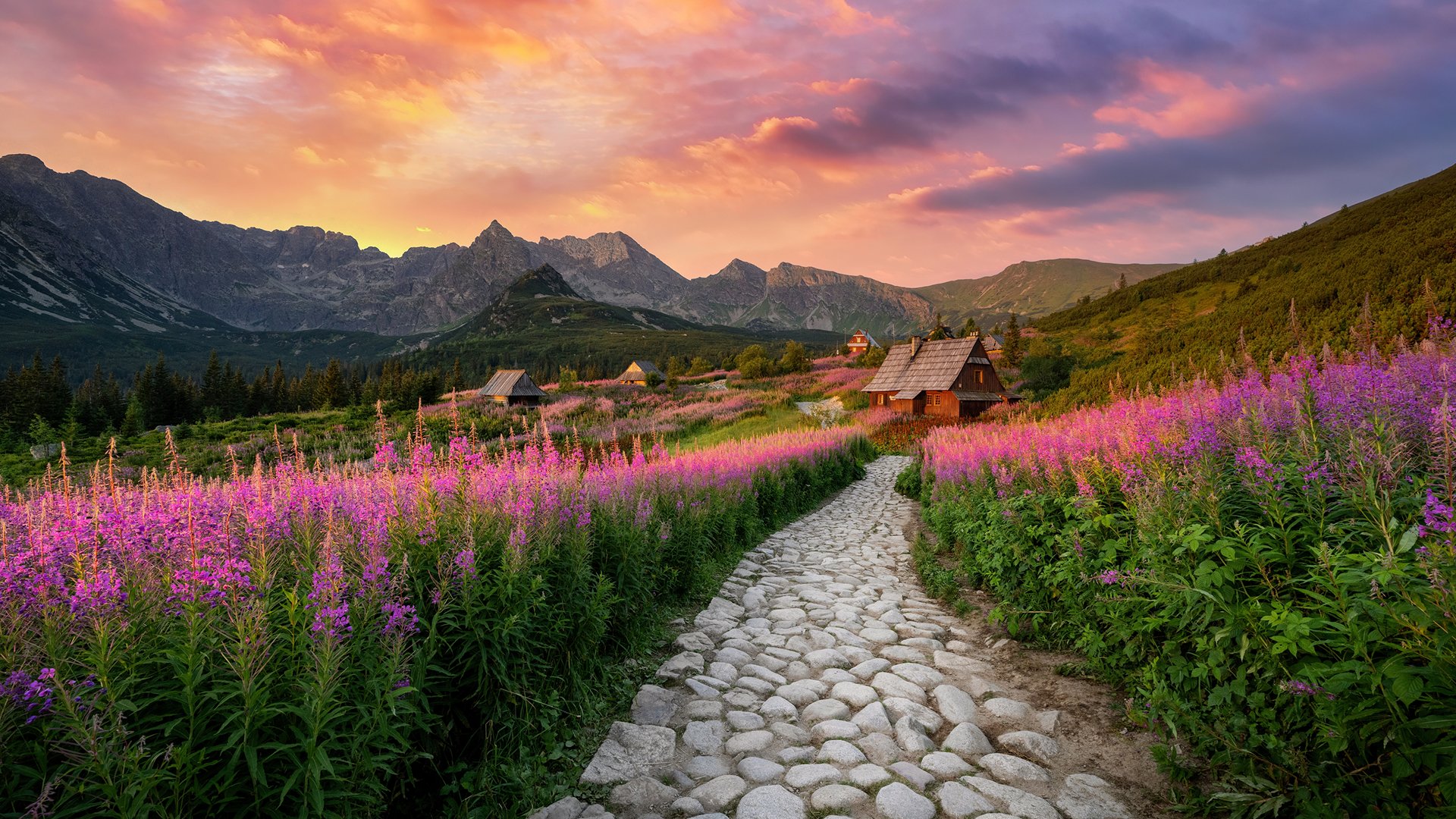 Hala Gąsienicowa w Tatrach