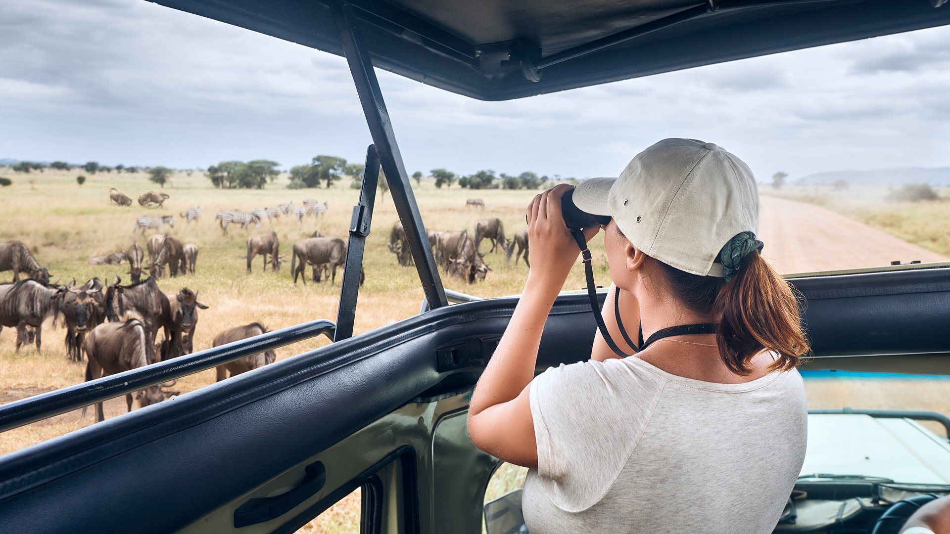 kenia safari
